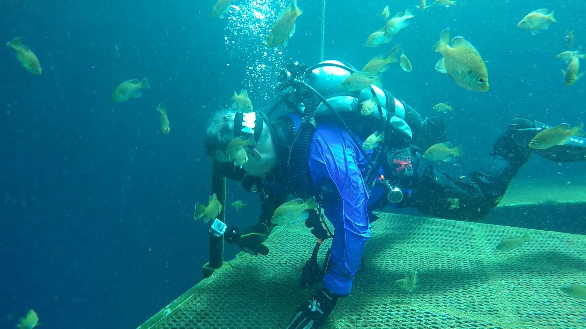 GOPR0722.MP4_snapshot_01.14_[2021.04.14_20.15.50].jpg
