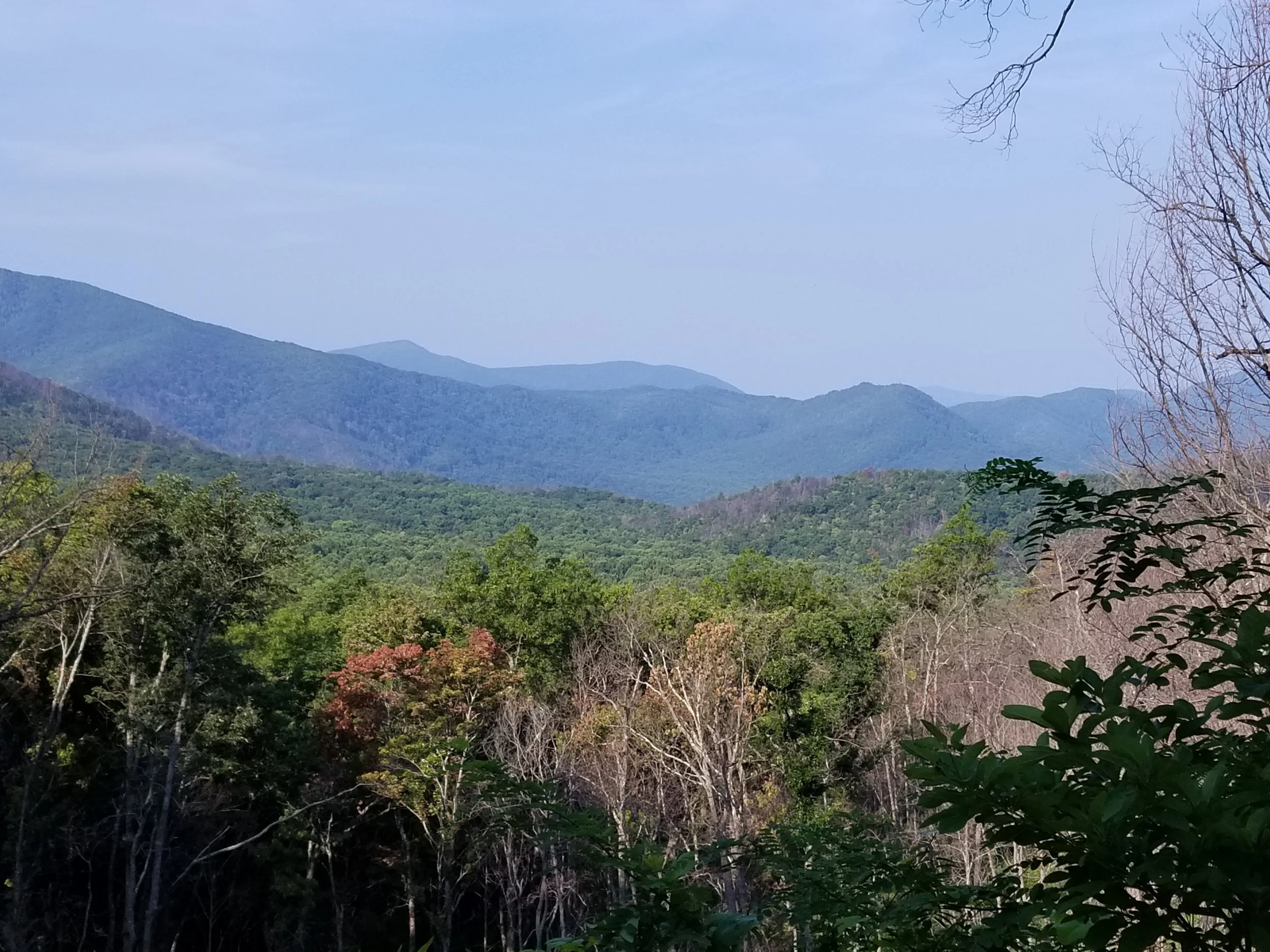 20180826_093215.jpg