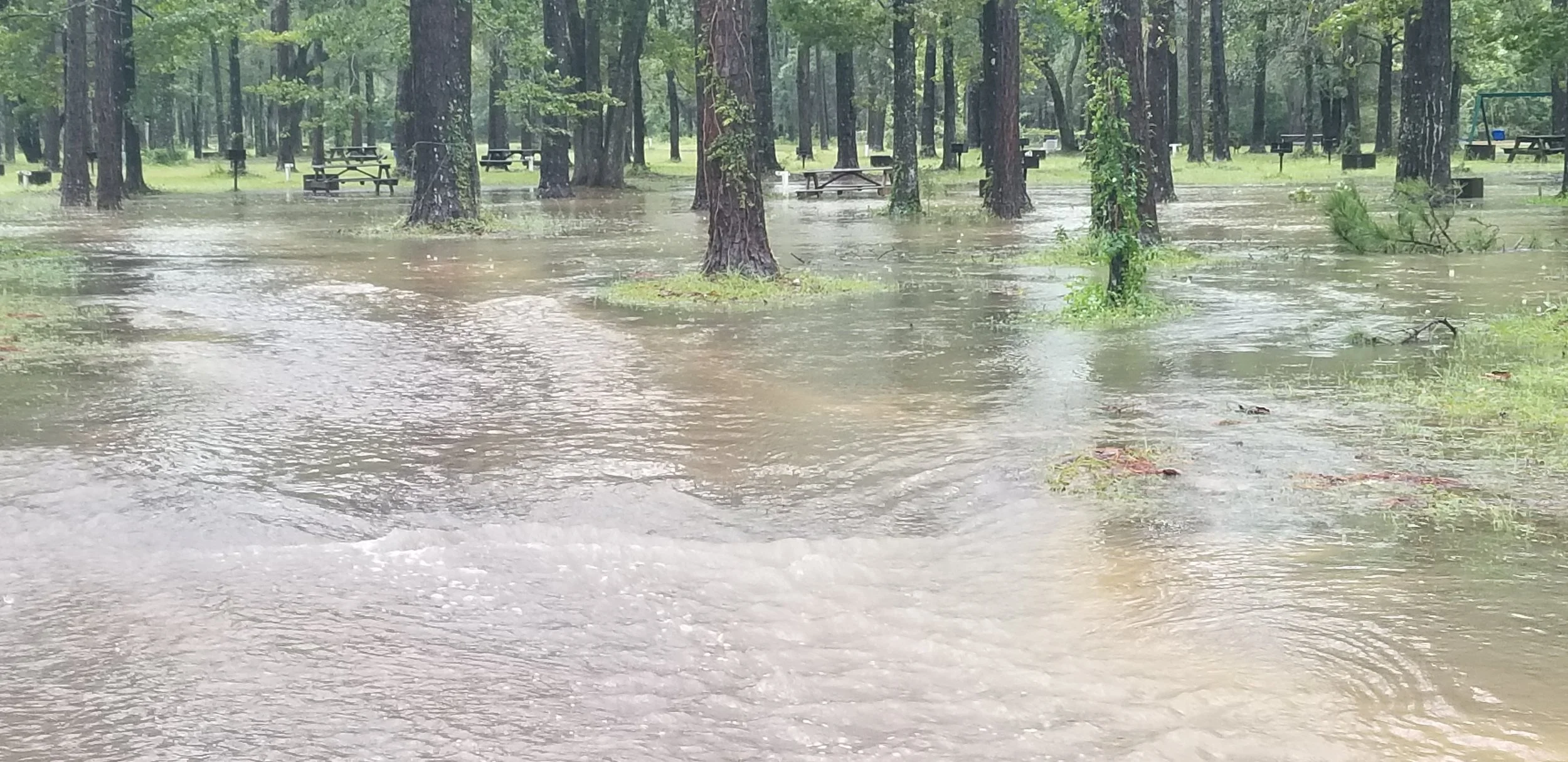 2020Sept16 Hurricane Sally - Vortex (8).jpg