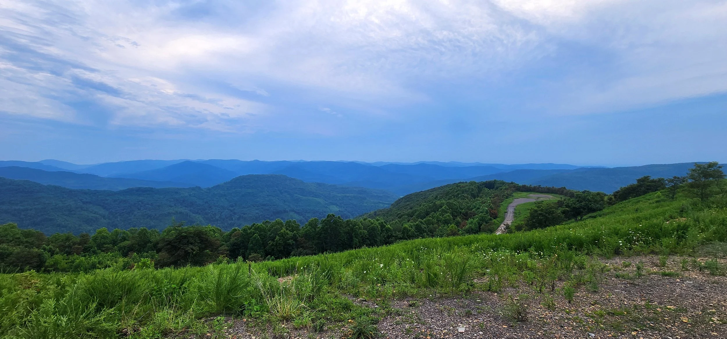 20260808_201011.jpg