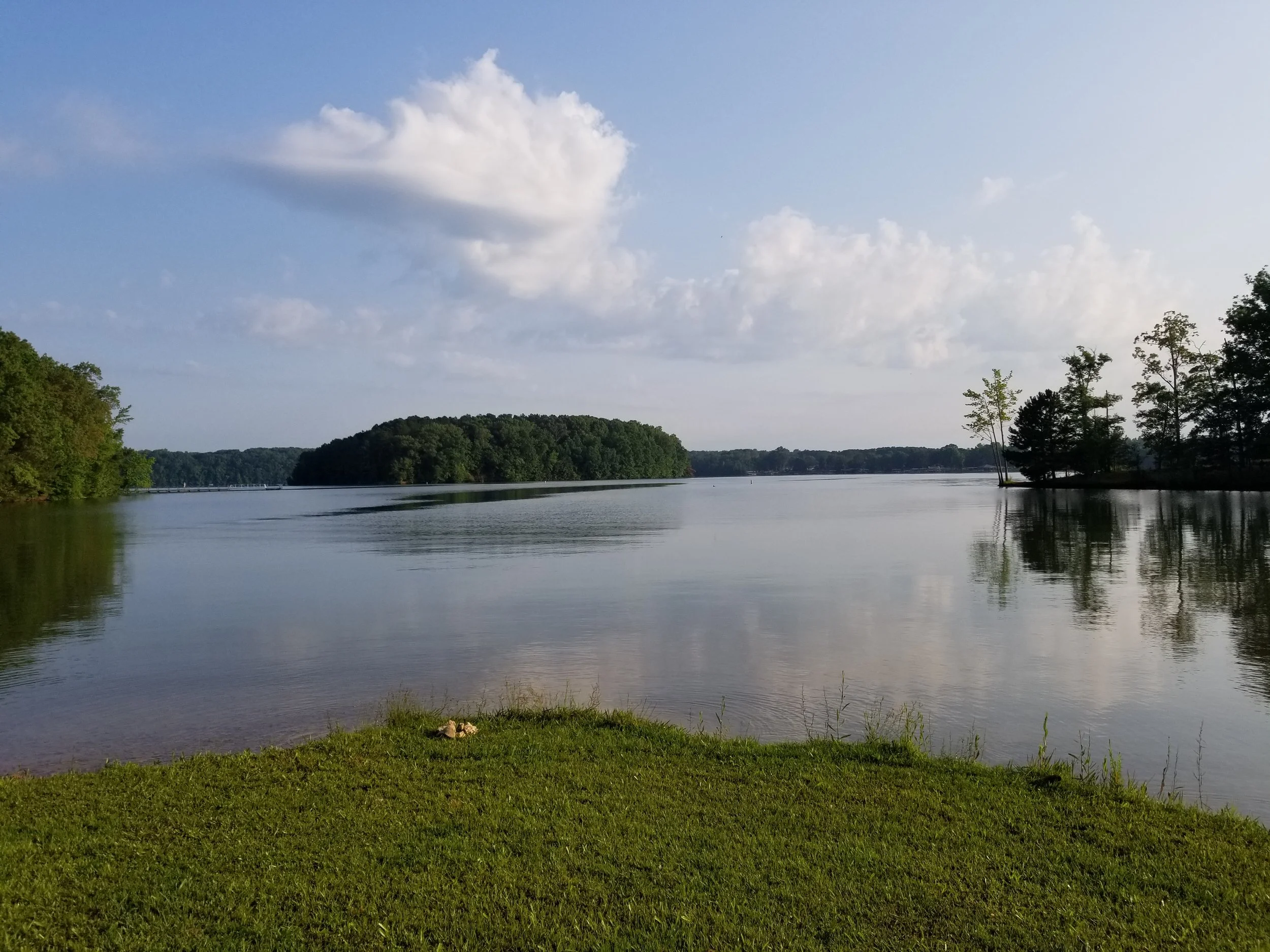 20190601_070538.jpg