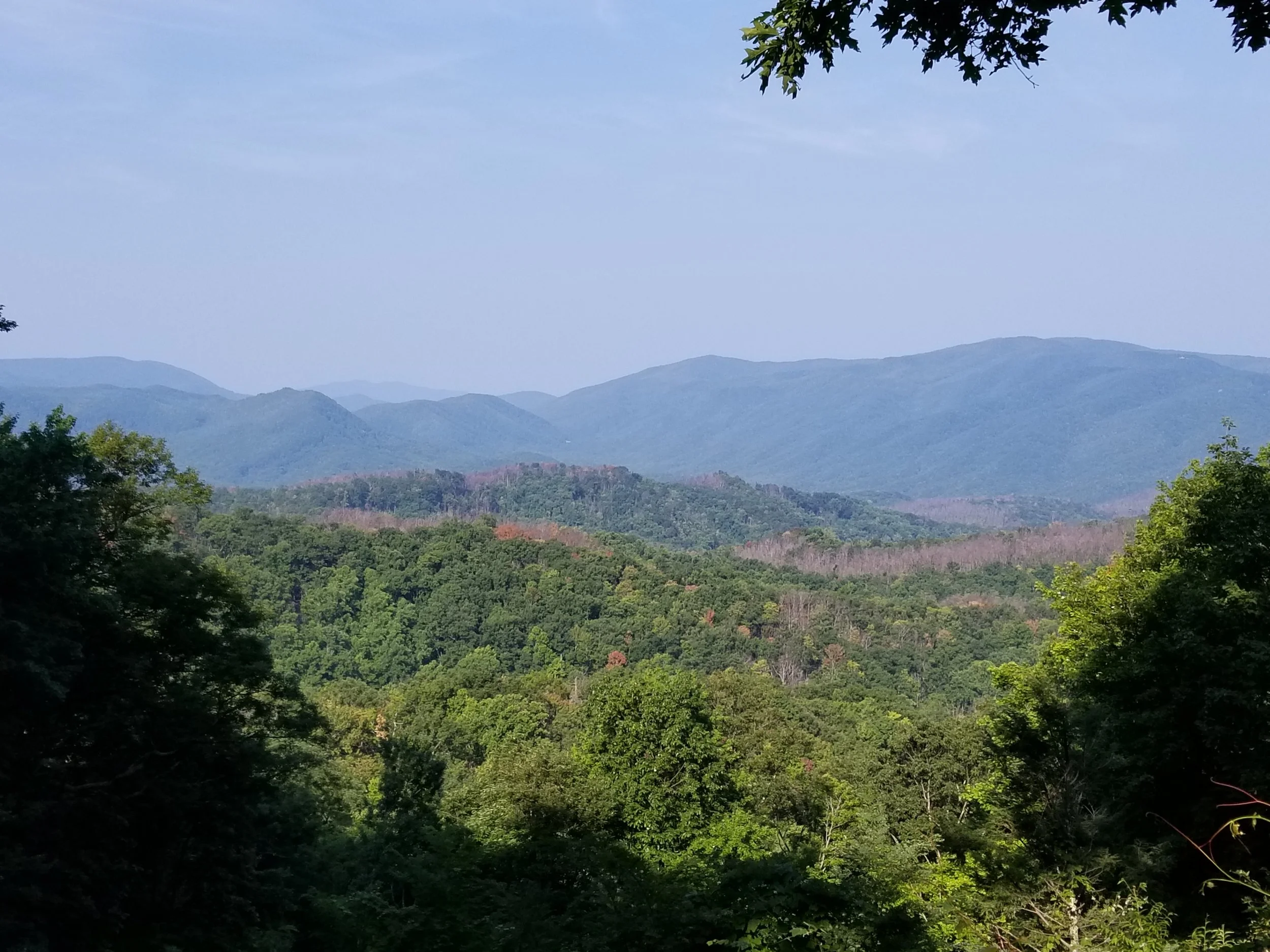 20180826_094324.jpg