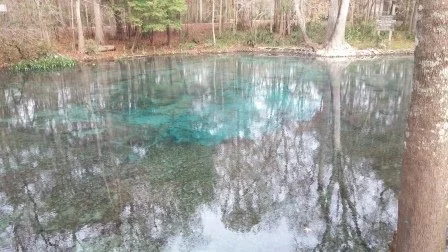 2015December Ginnie Springs (6).jpg