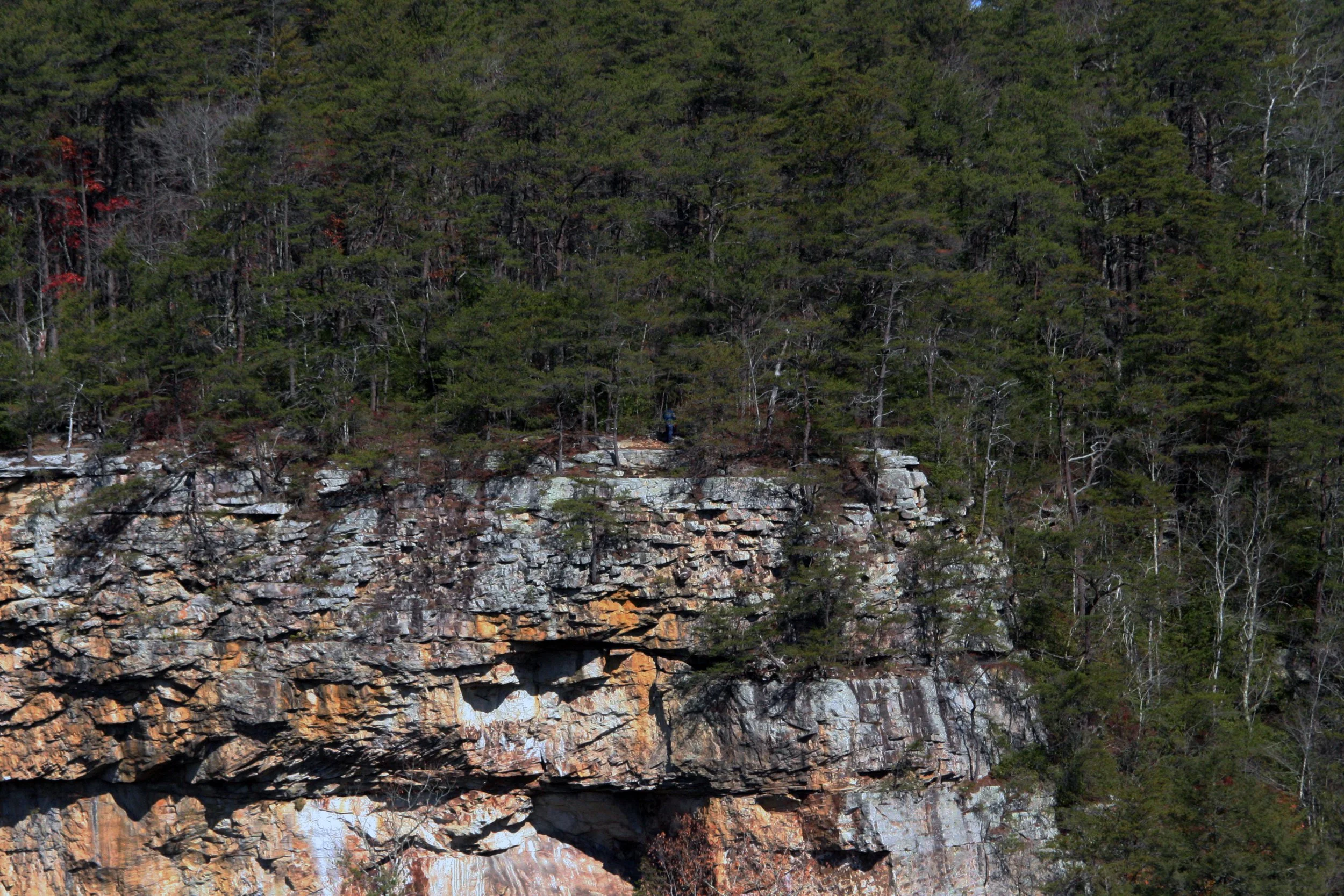 2011Nov11 SavageGulfHike (20).jpg