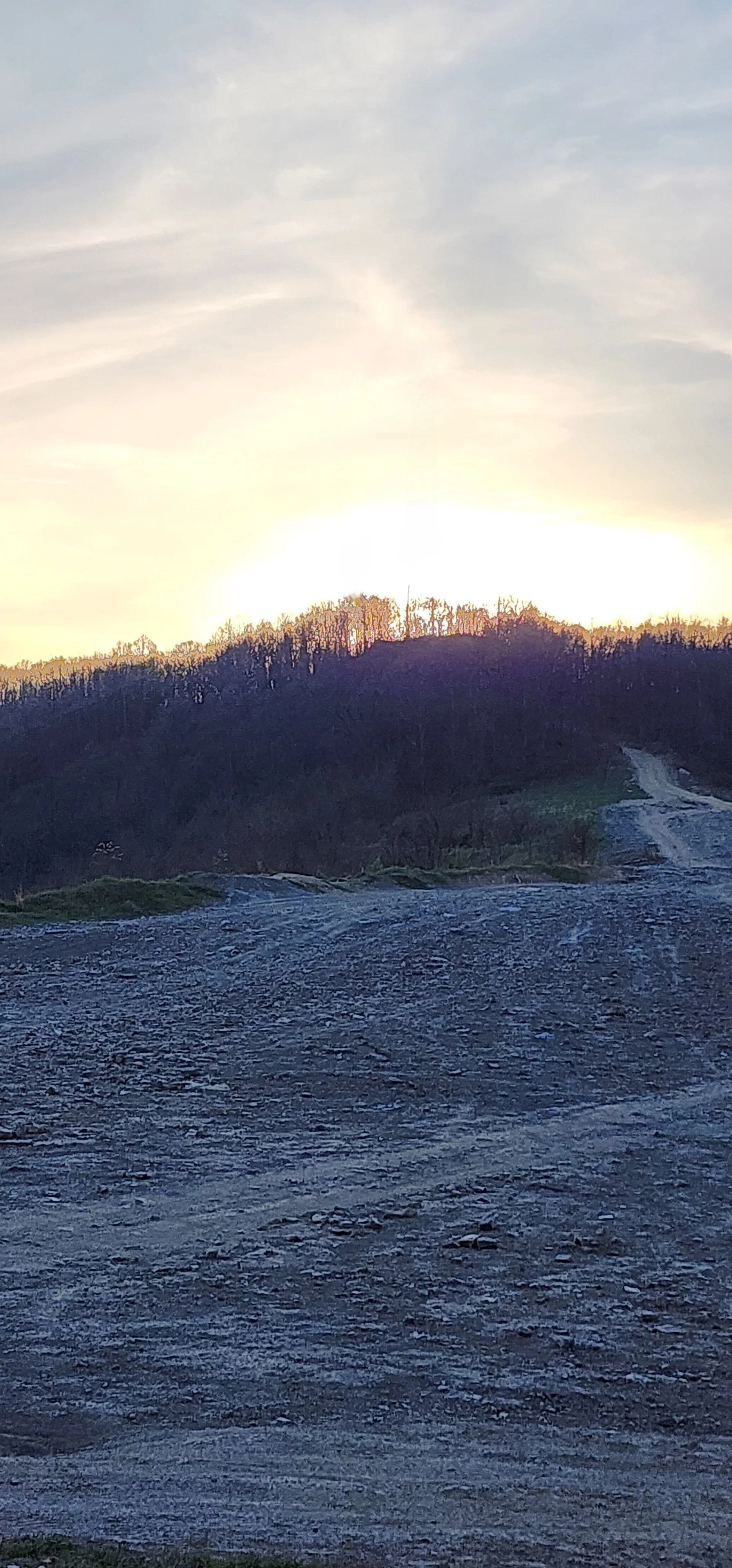 20260410_193337.jpg