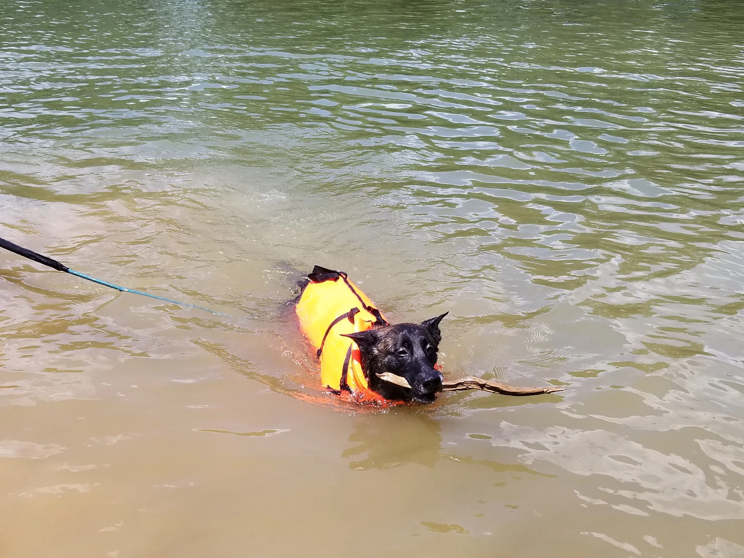 20190601_142221.jpg