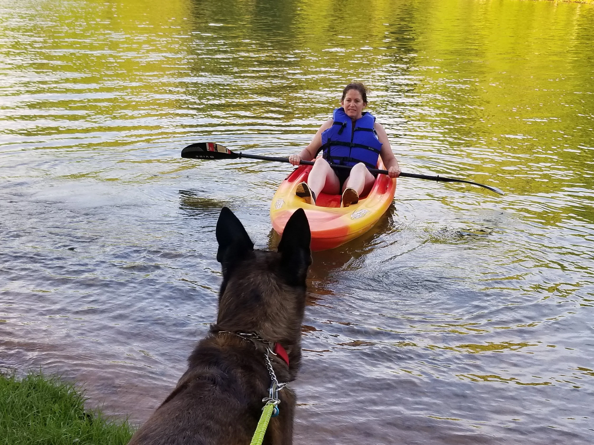 Momma, you need to get back up here.
