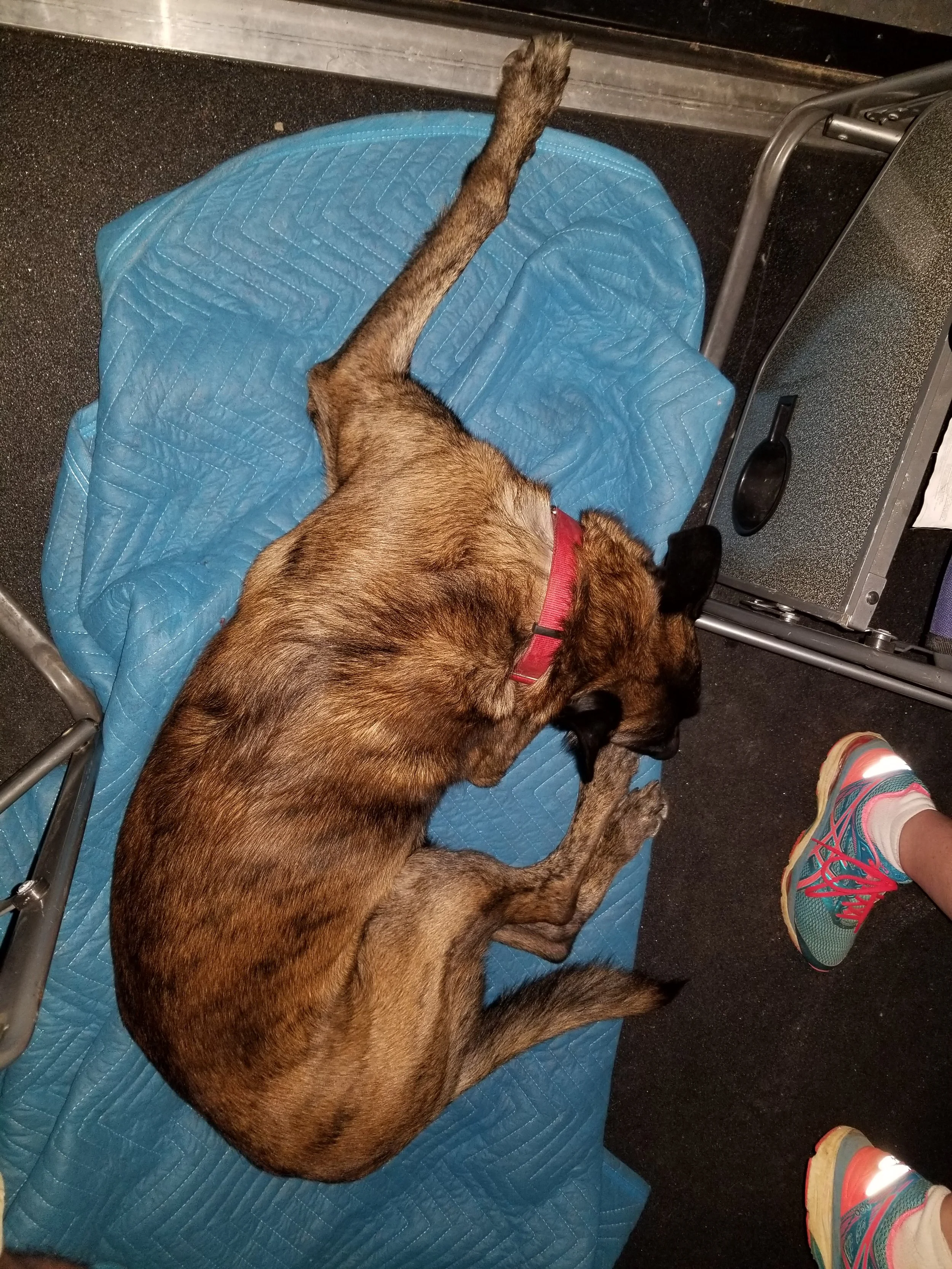 20190531_220220.jpg