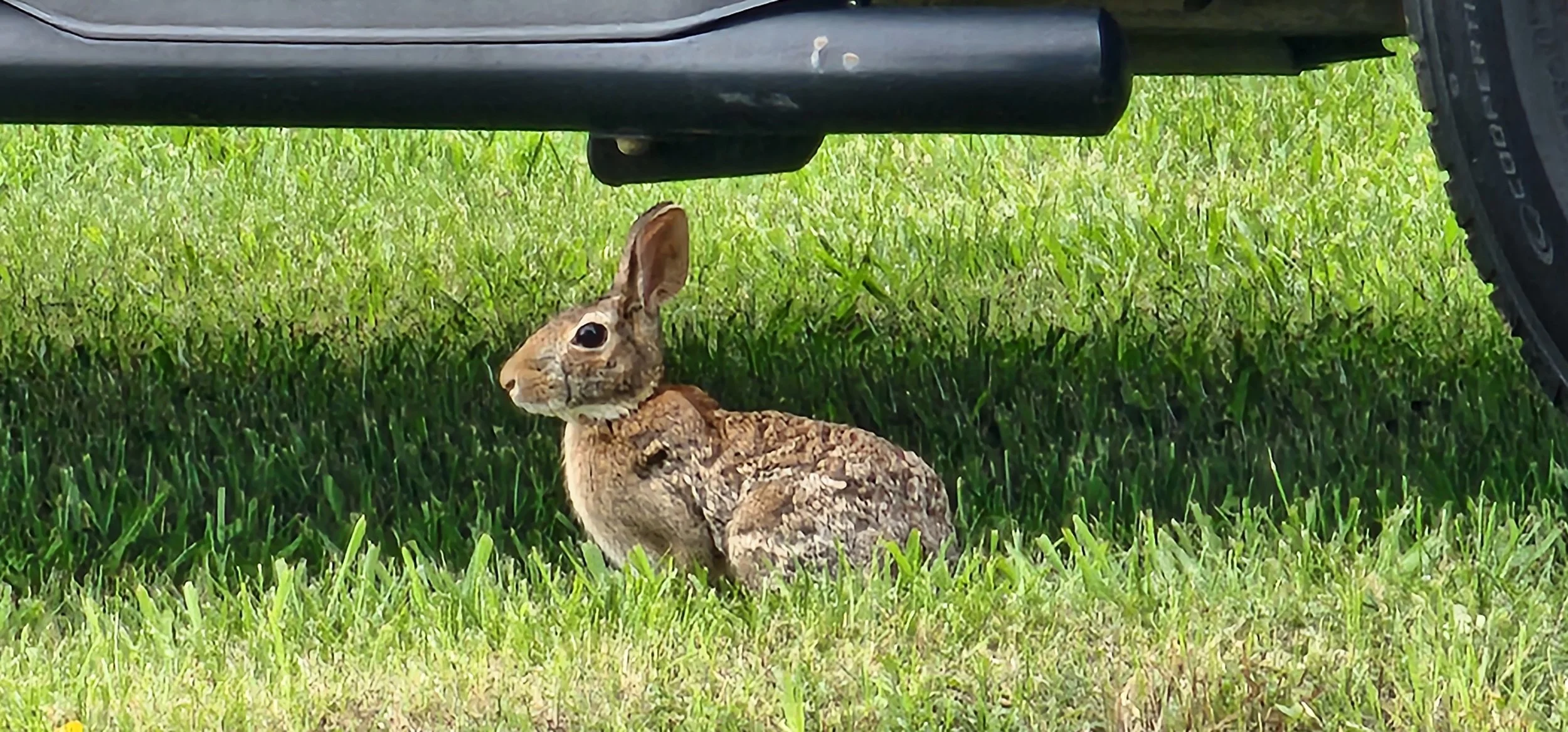 TNFarmScenes (56).jpg