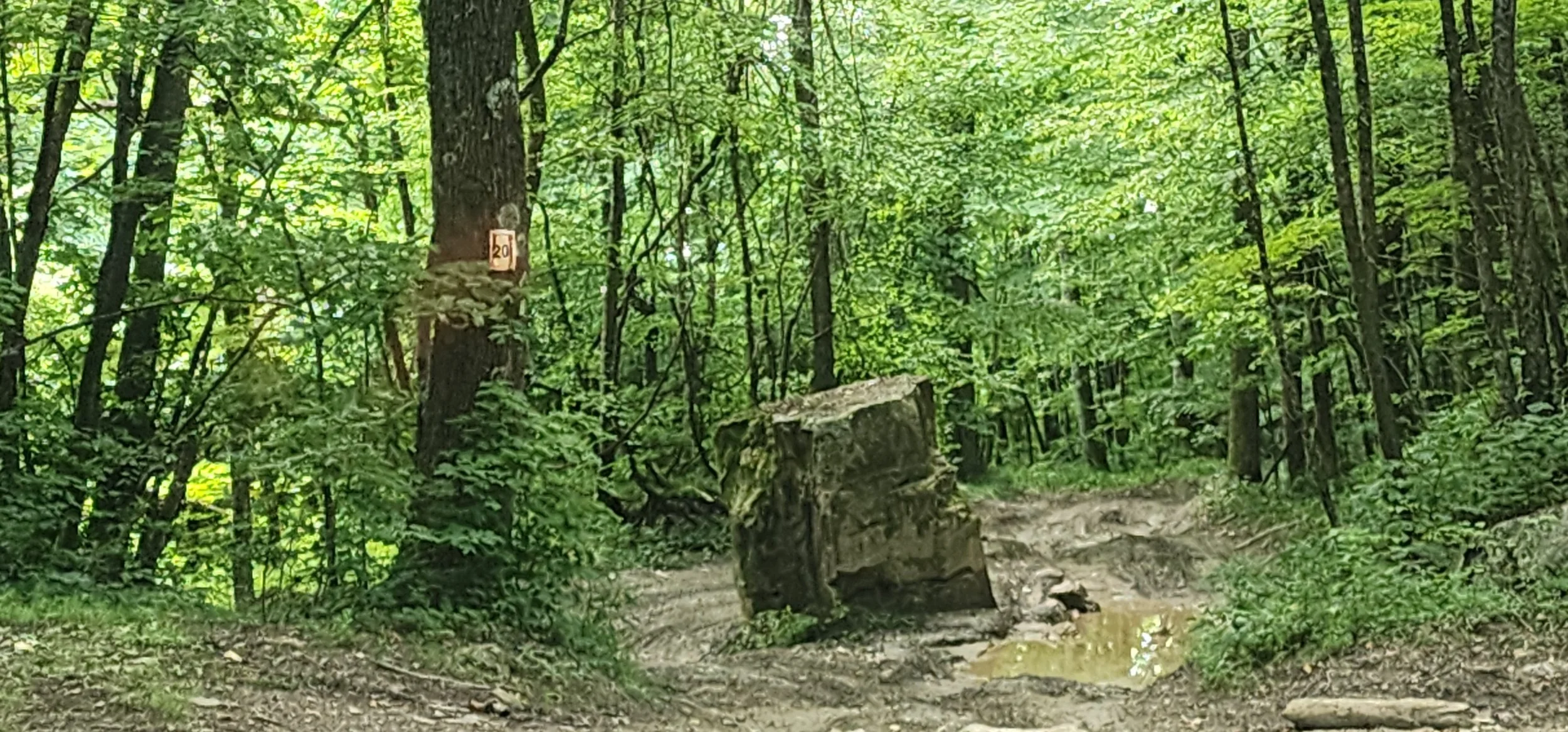 20260808_103337.jpg
