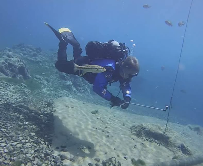 Safety Stop probably taking a selfie
