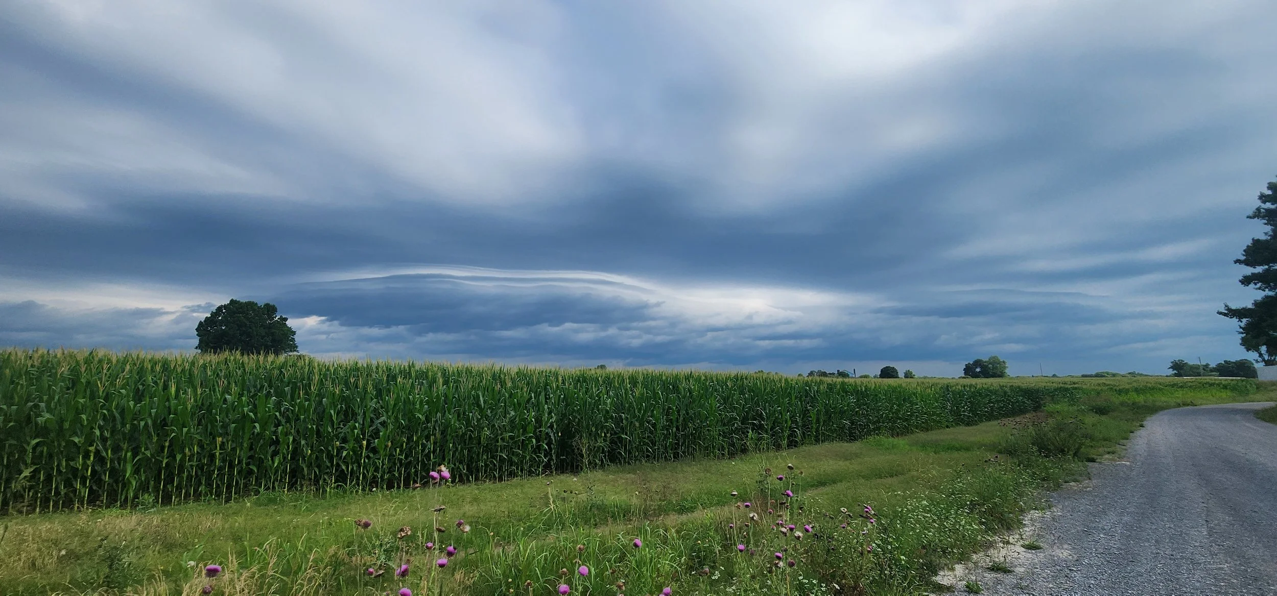 TNFarmScenes (246).jpg