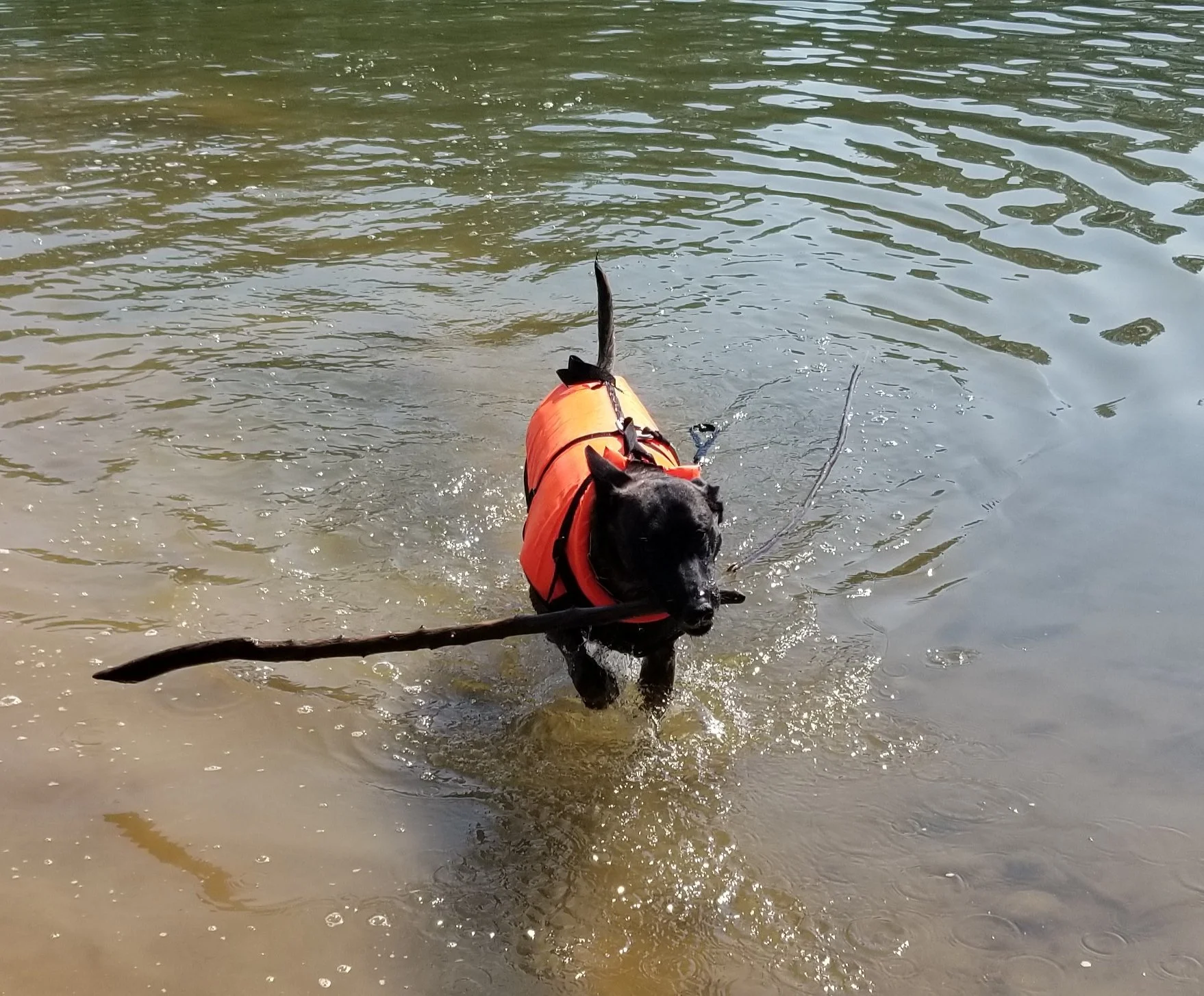 20190602_114324.jpg