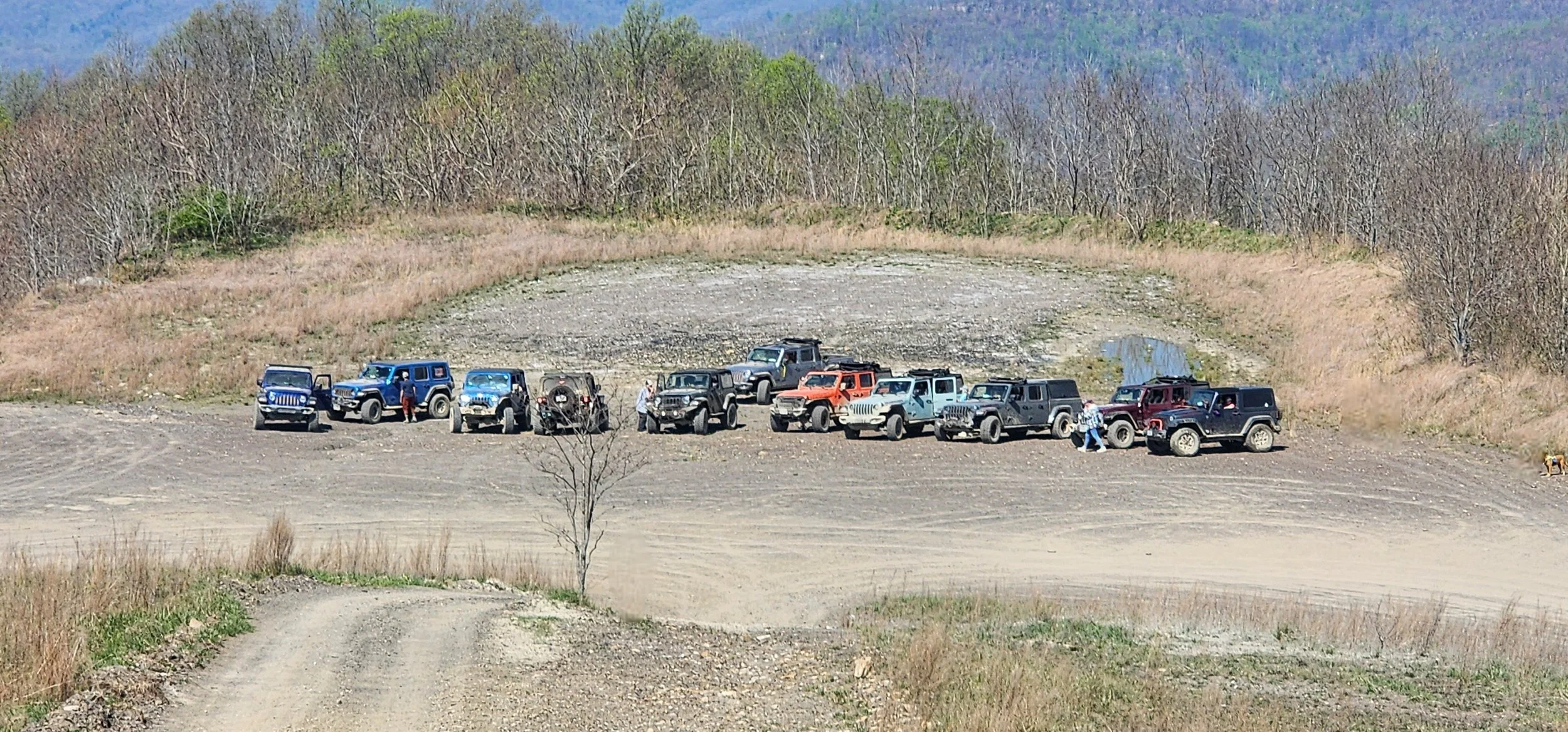 20260411_115116.jpg