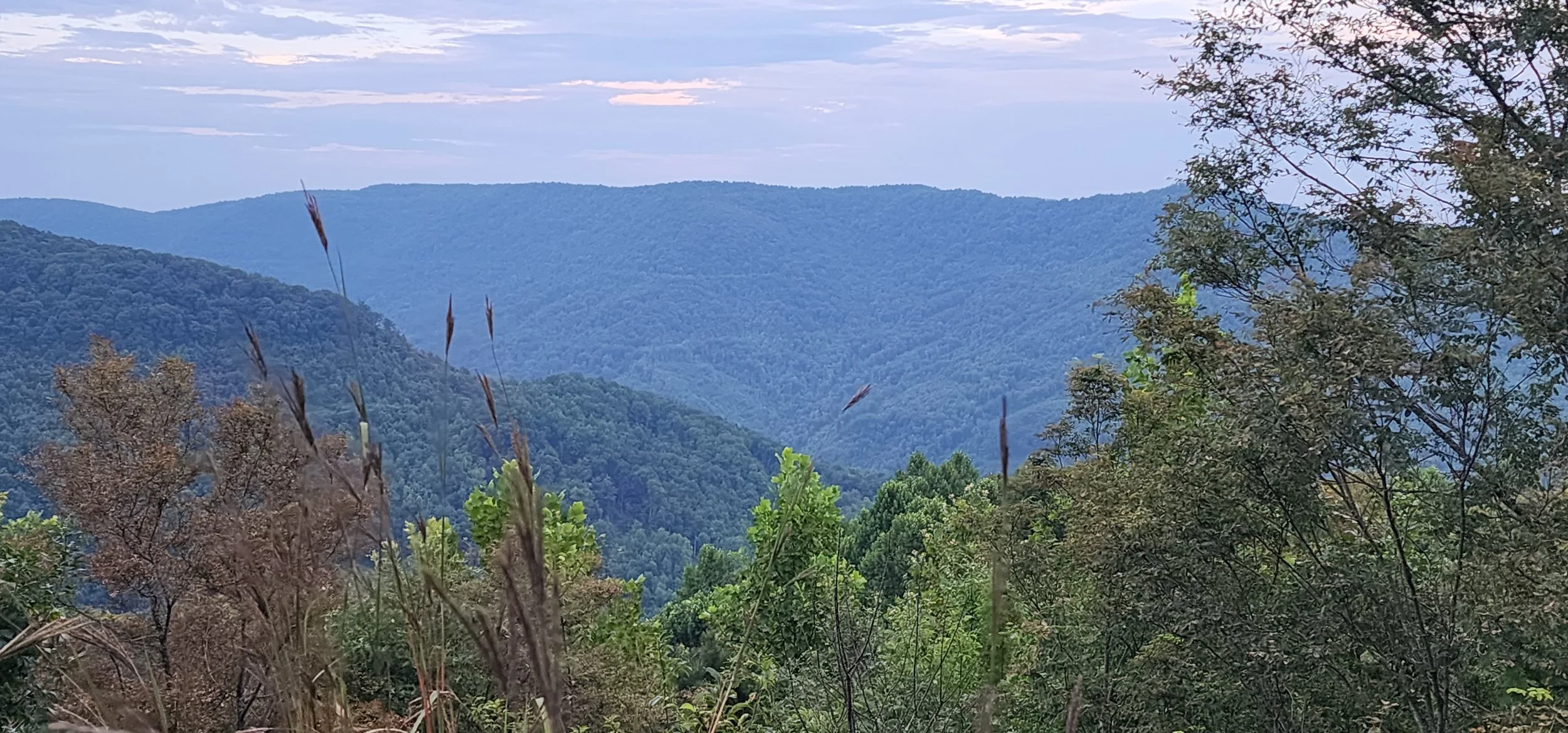 20260808_201730.jpg