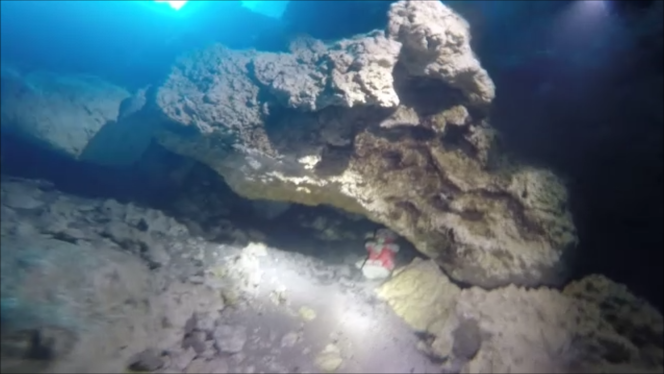 There is a little game that's played with this little guy. IF you see it while diving, document it for evidence (otherwise no one will believe you) and then move it to another location within the den for other divers to find.