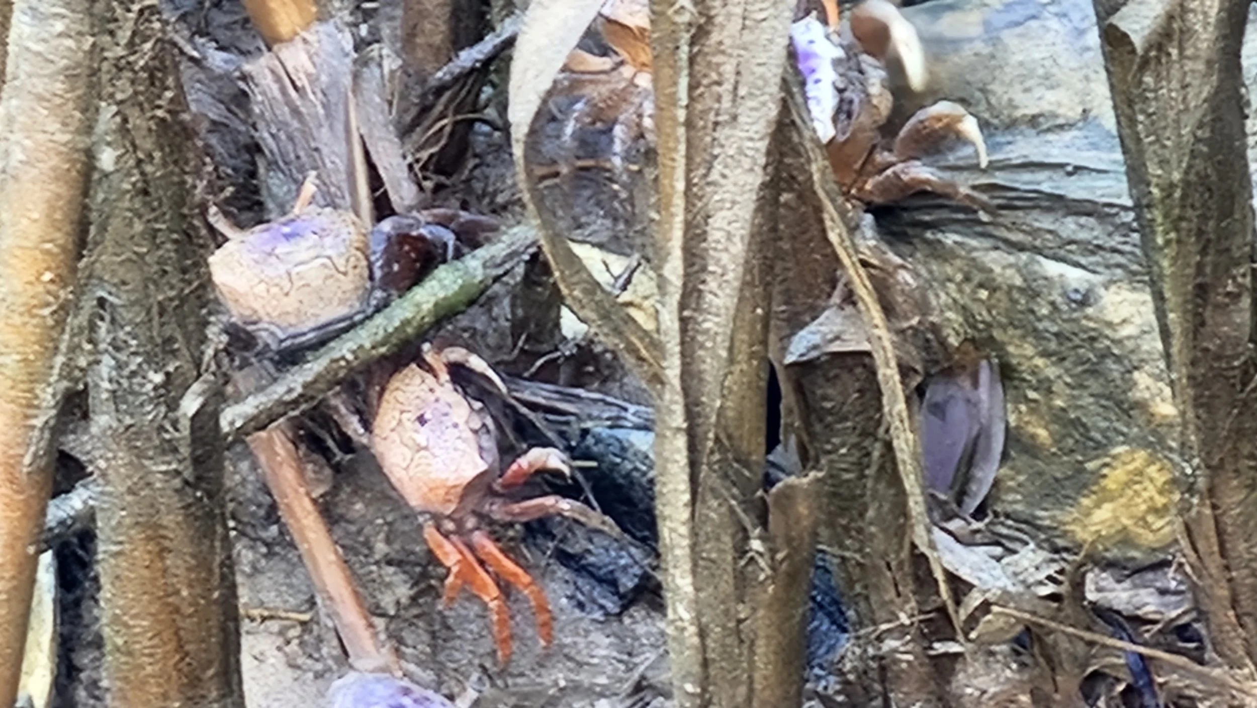 20230729_093616.jpg