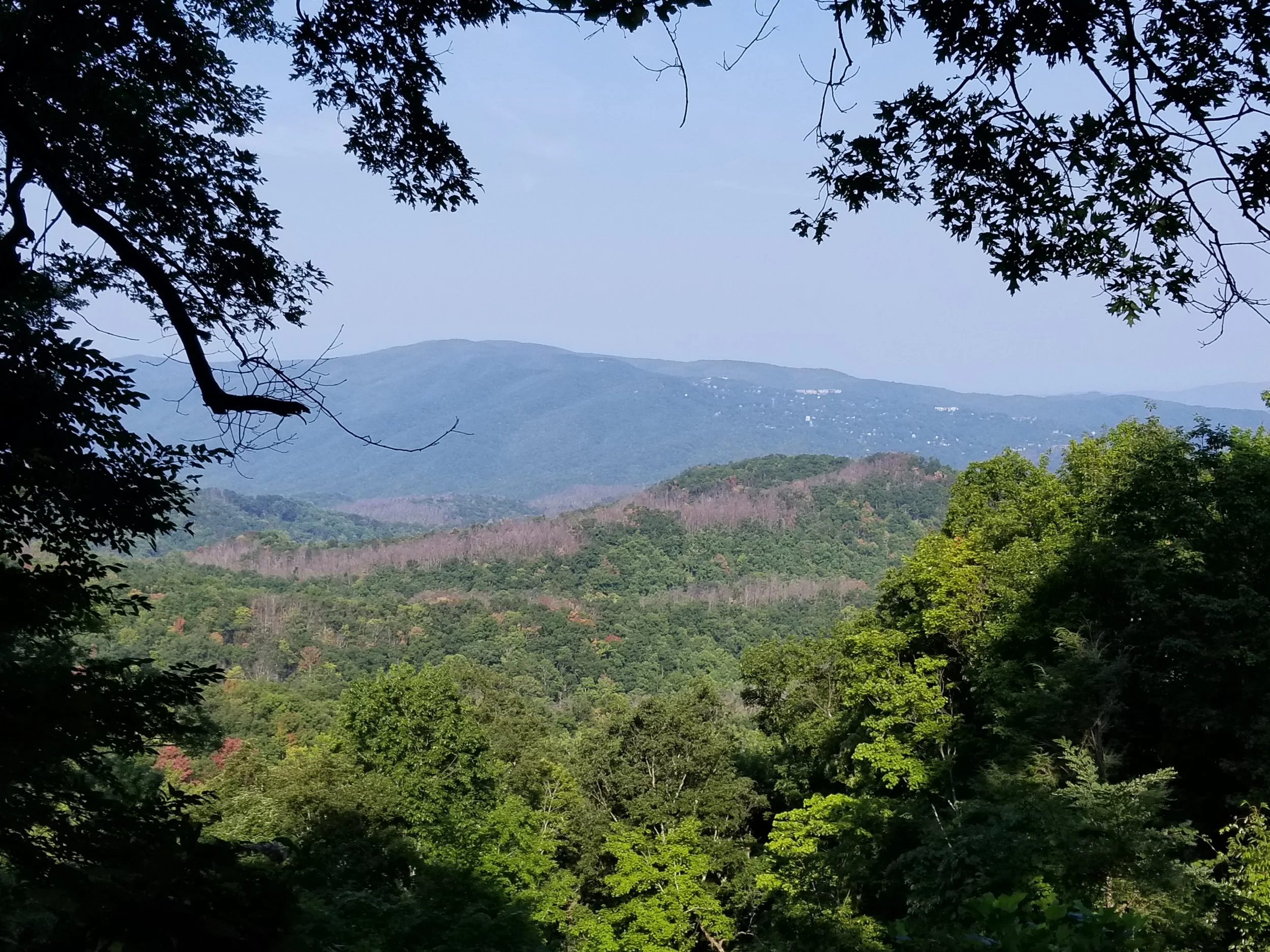 20180826_094409.jpg