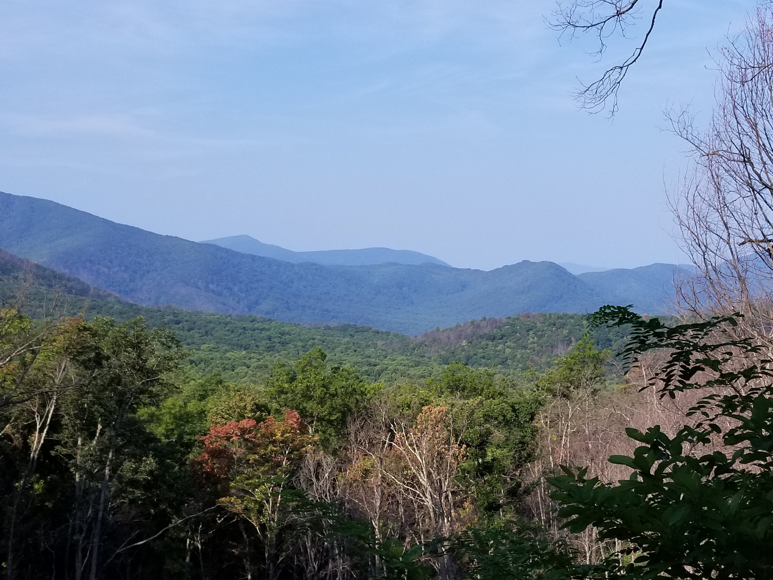 20180826_093214.jpg