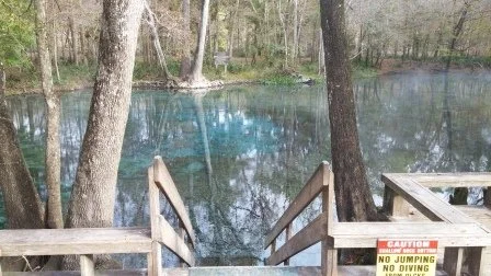 2015December Ginnie Springs (9).jpg