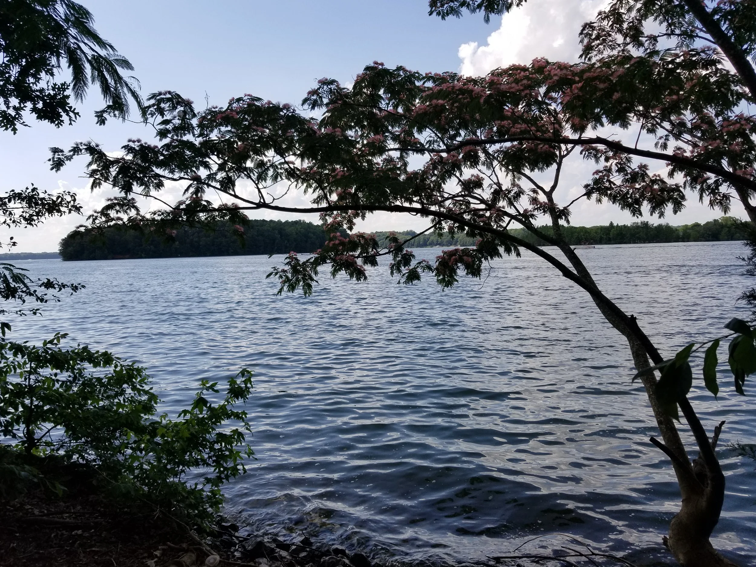 20190602_161125.jpg