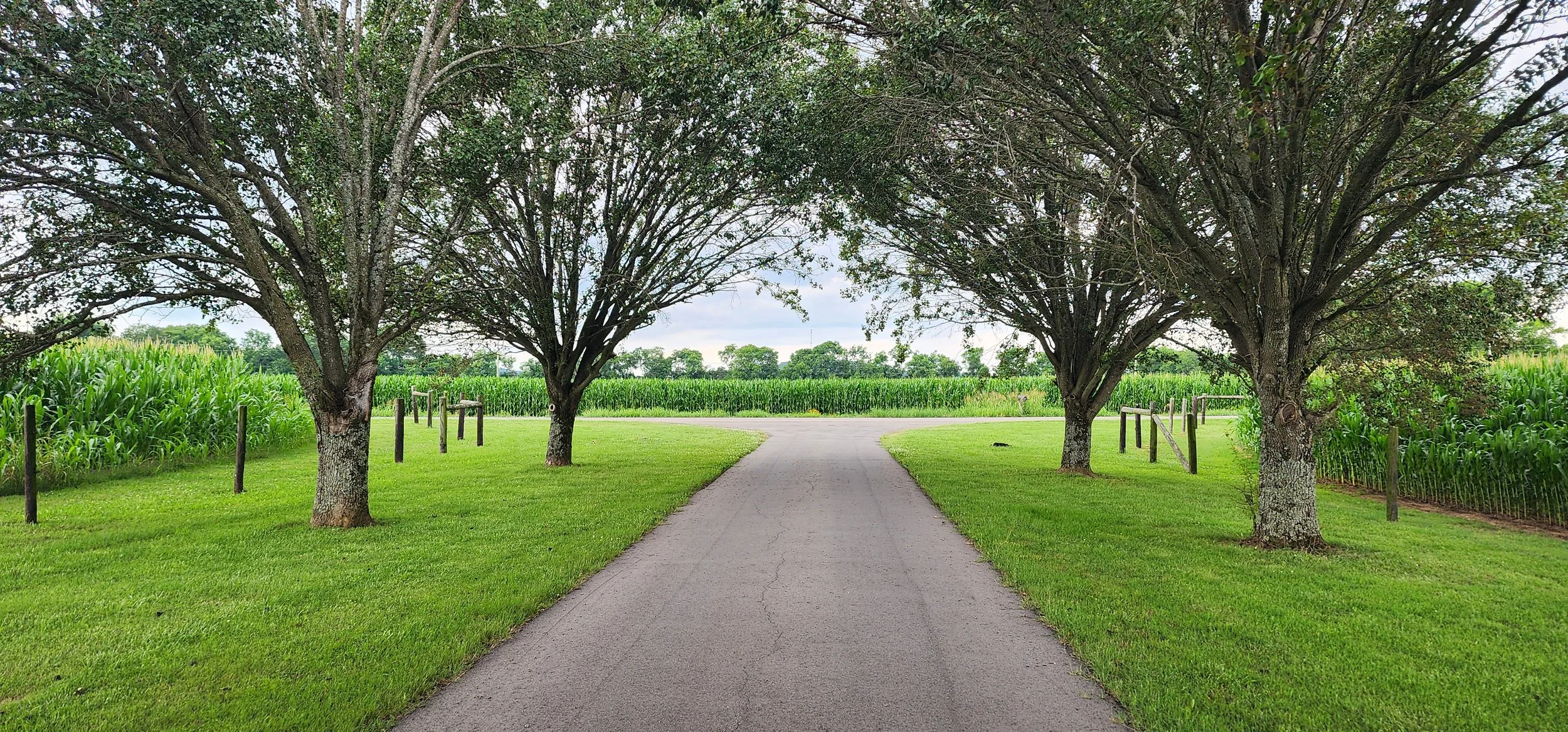 TNFarmScenes (248).jpg