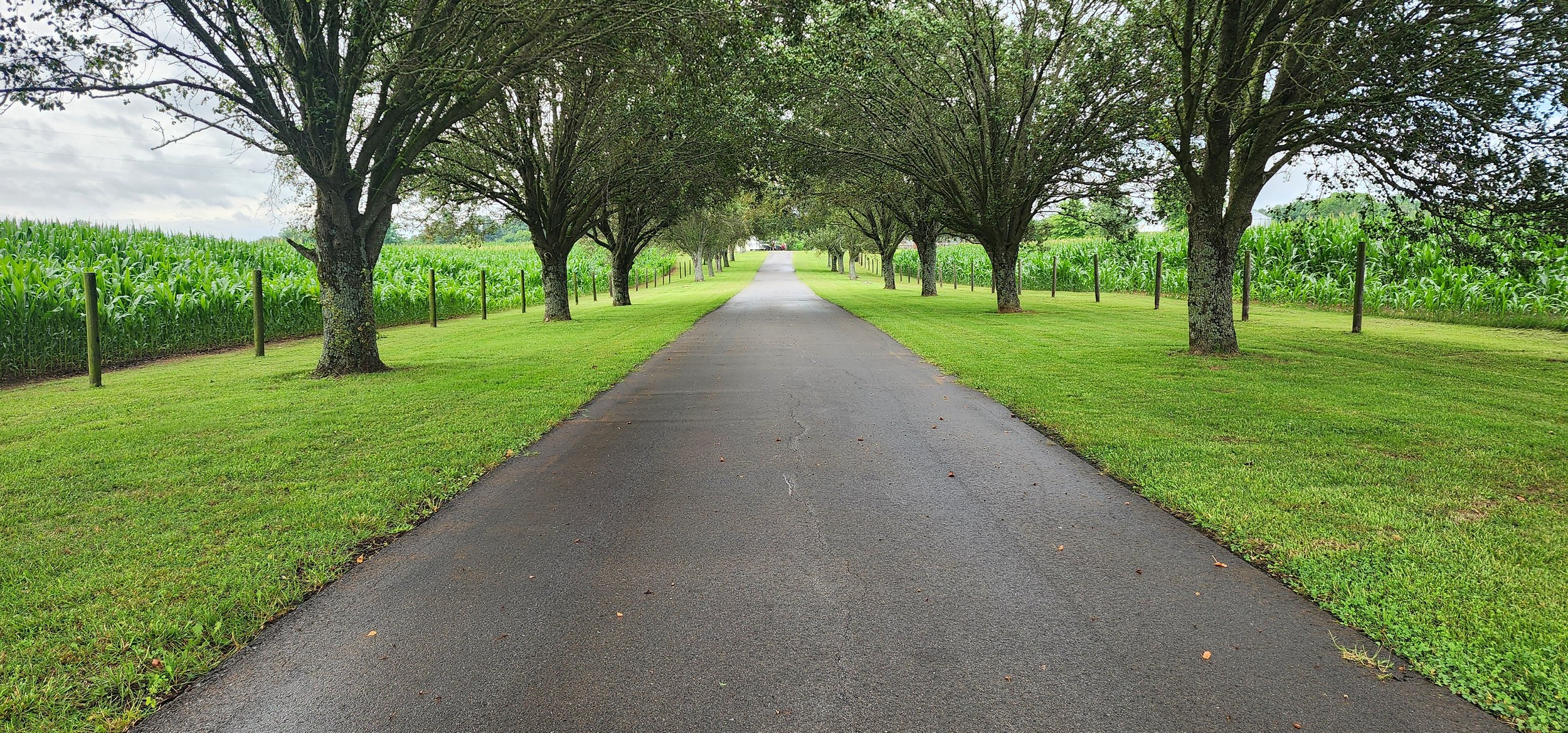 TNFarmScenes (244).jpg