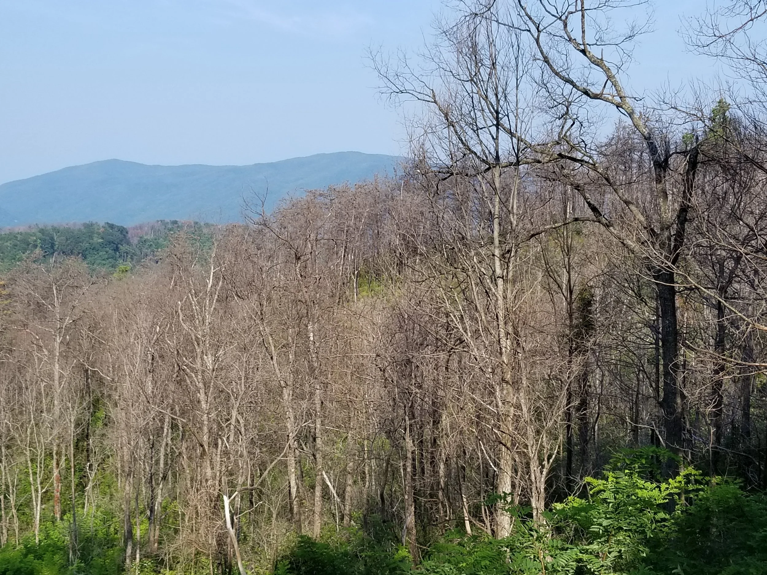 20180826_093237.jpg