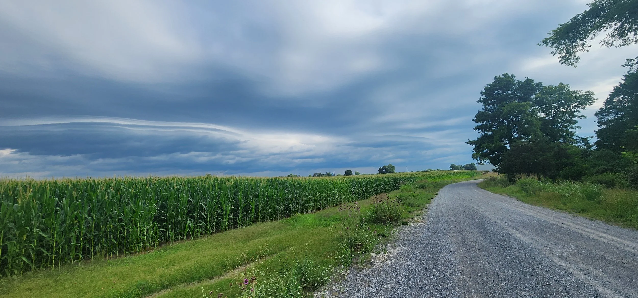 TNFarmScenes (247).jpg