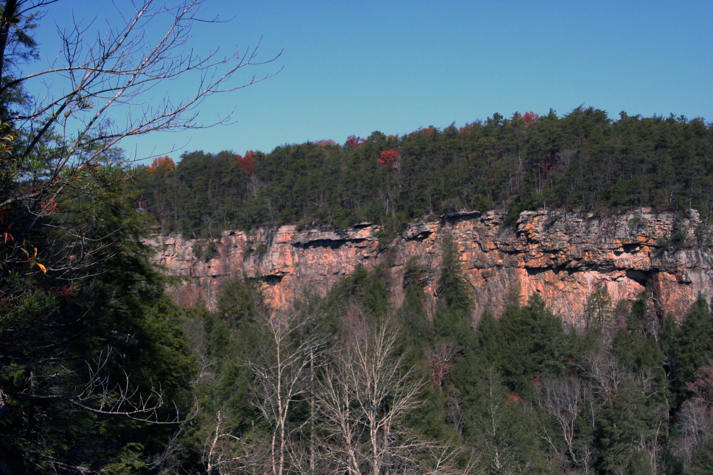 2011Nov11 SavageGulfHike (22).jpg