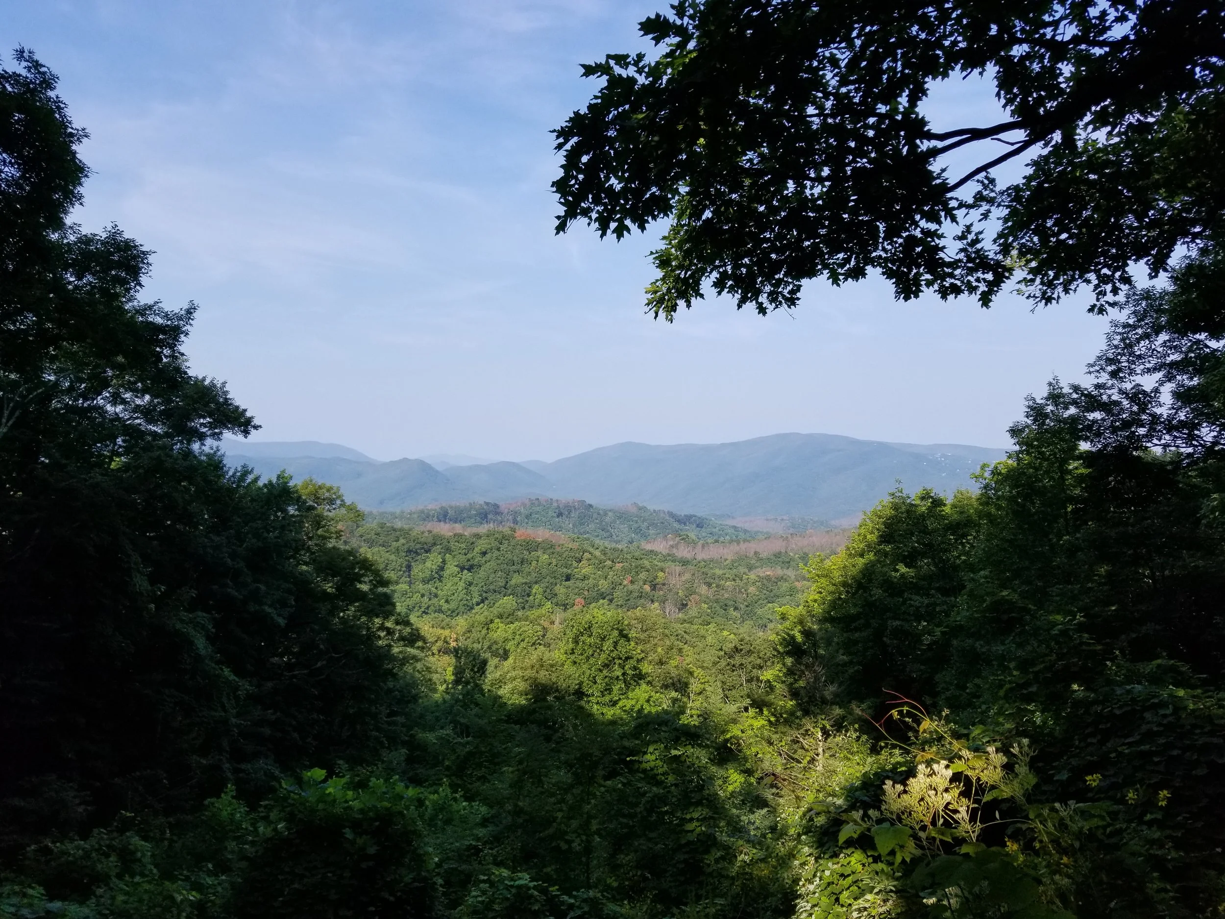 20180826_094312.jpg