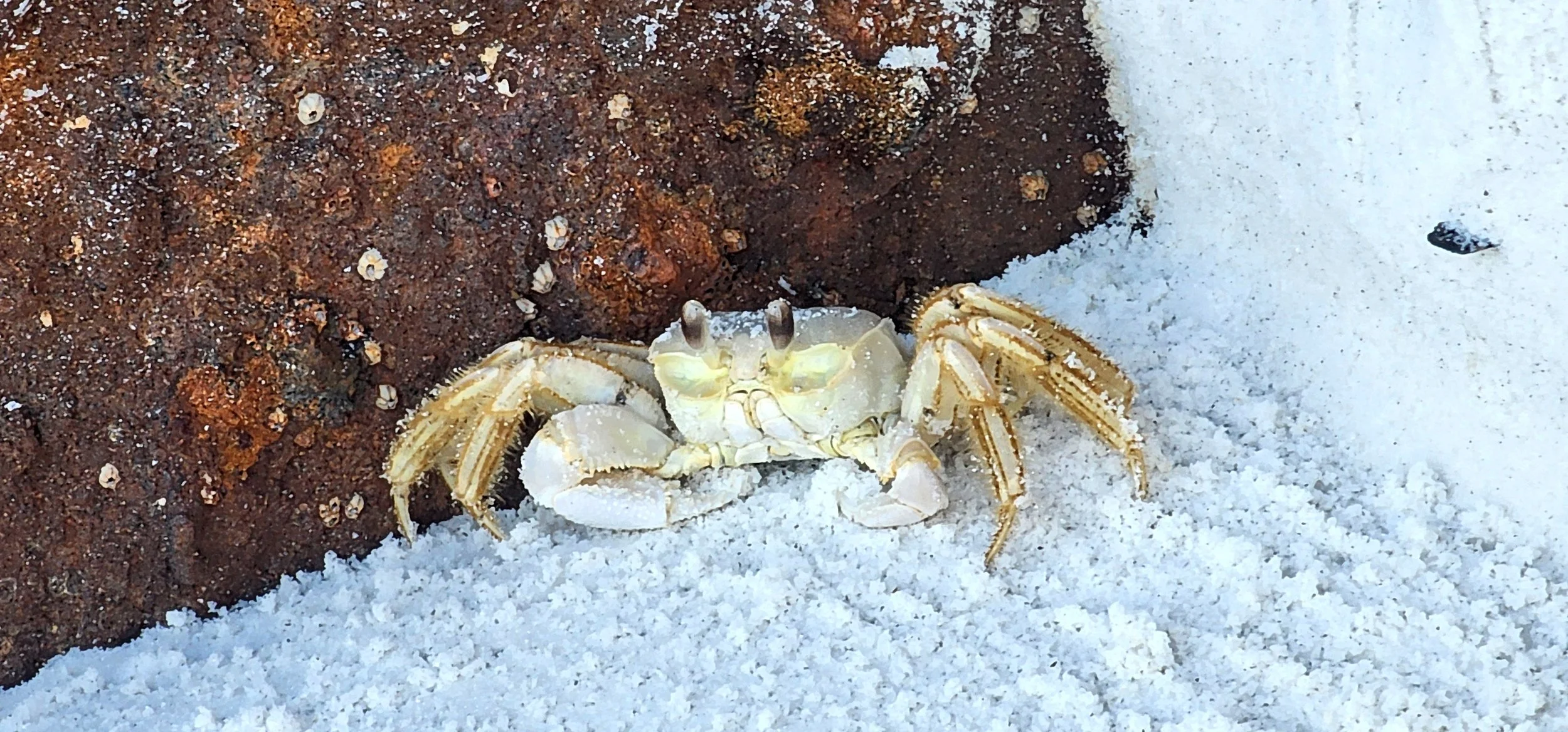 Okaloosa Island