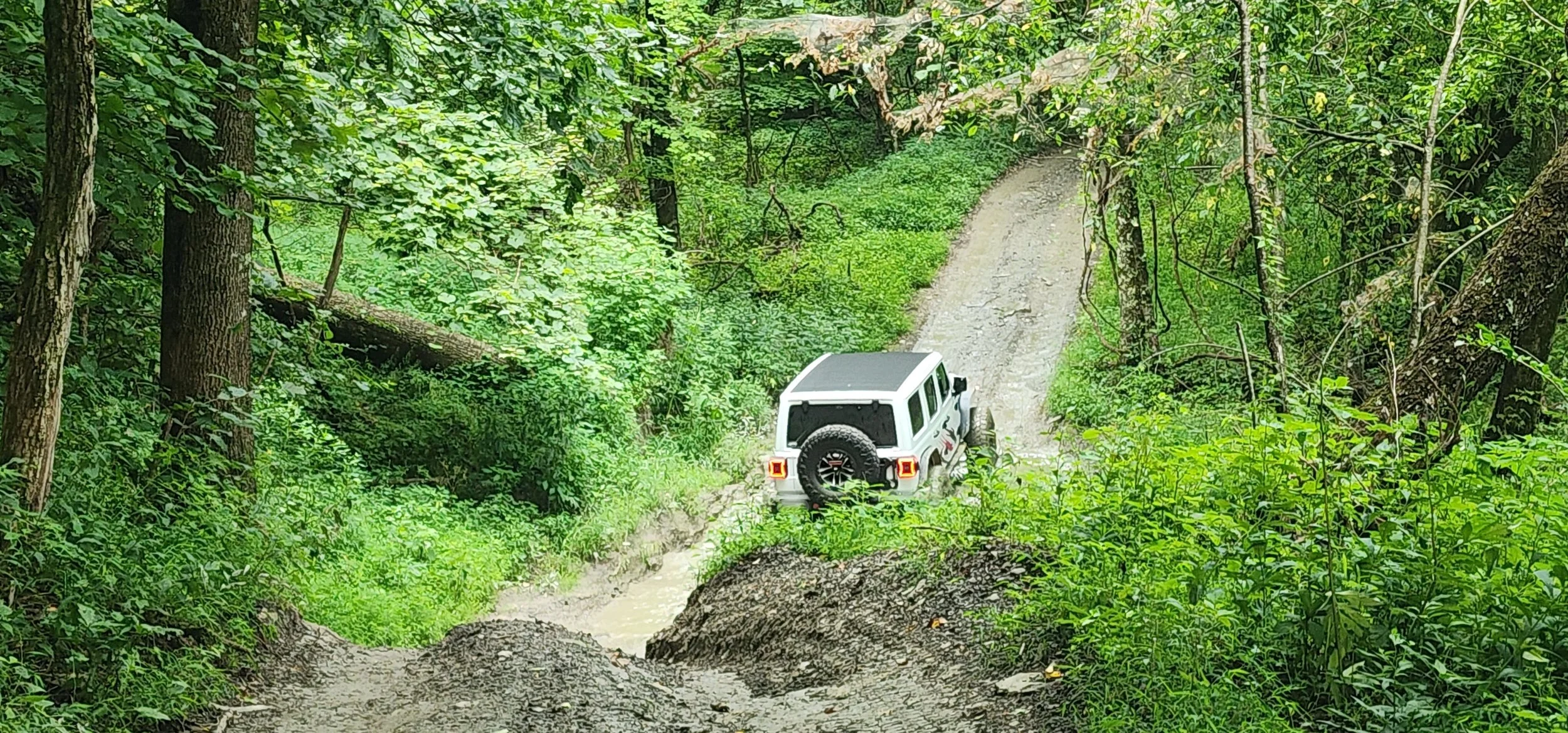 20260808_104032.jpg