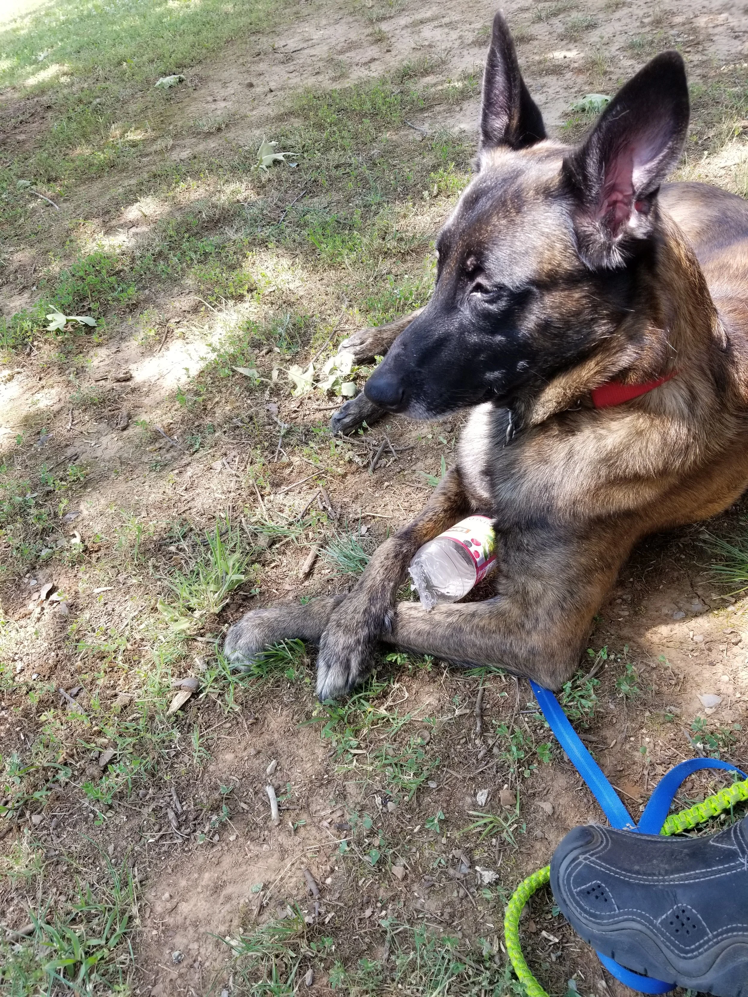 20190601_112217.jpg