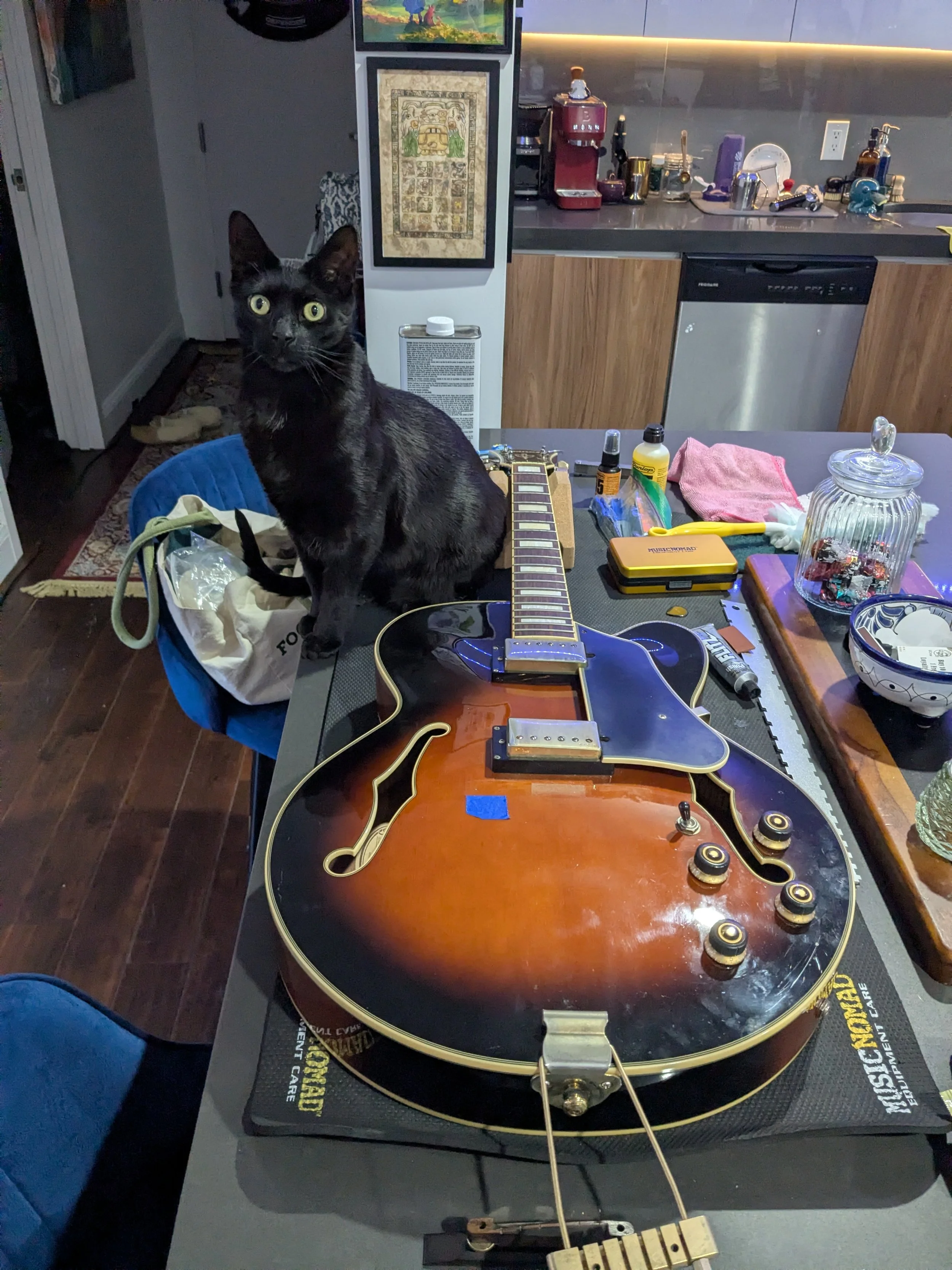 A black cat sitting on a table next to a vintage electric guitar with a sunburst finish. The table has various items including a pink cloth, yellow powder container, small spray bottle, a glass jar with a lid, and a bowl. In the background, there is a kitchen with counter space, appliances, and framed artwork on the walls.