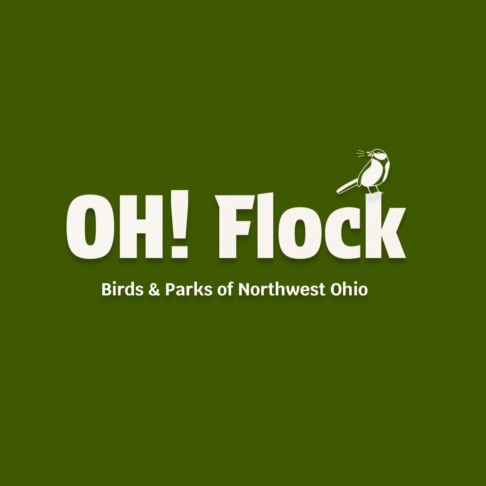 OH! Flock