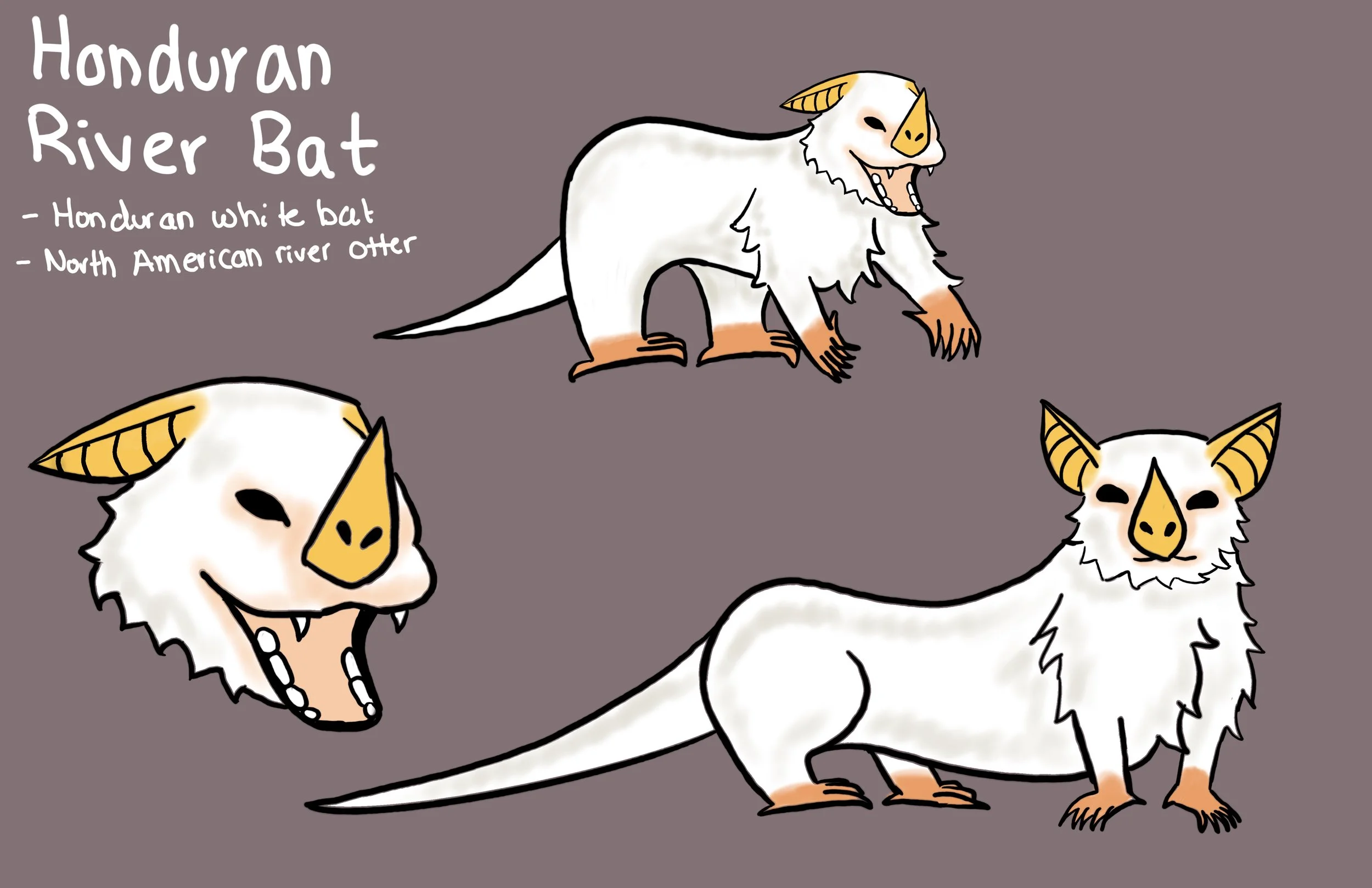 Illustration of a Honduran River Bat, a white bat with yellow the ears and nose, on a purple background.