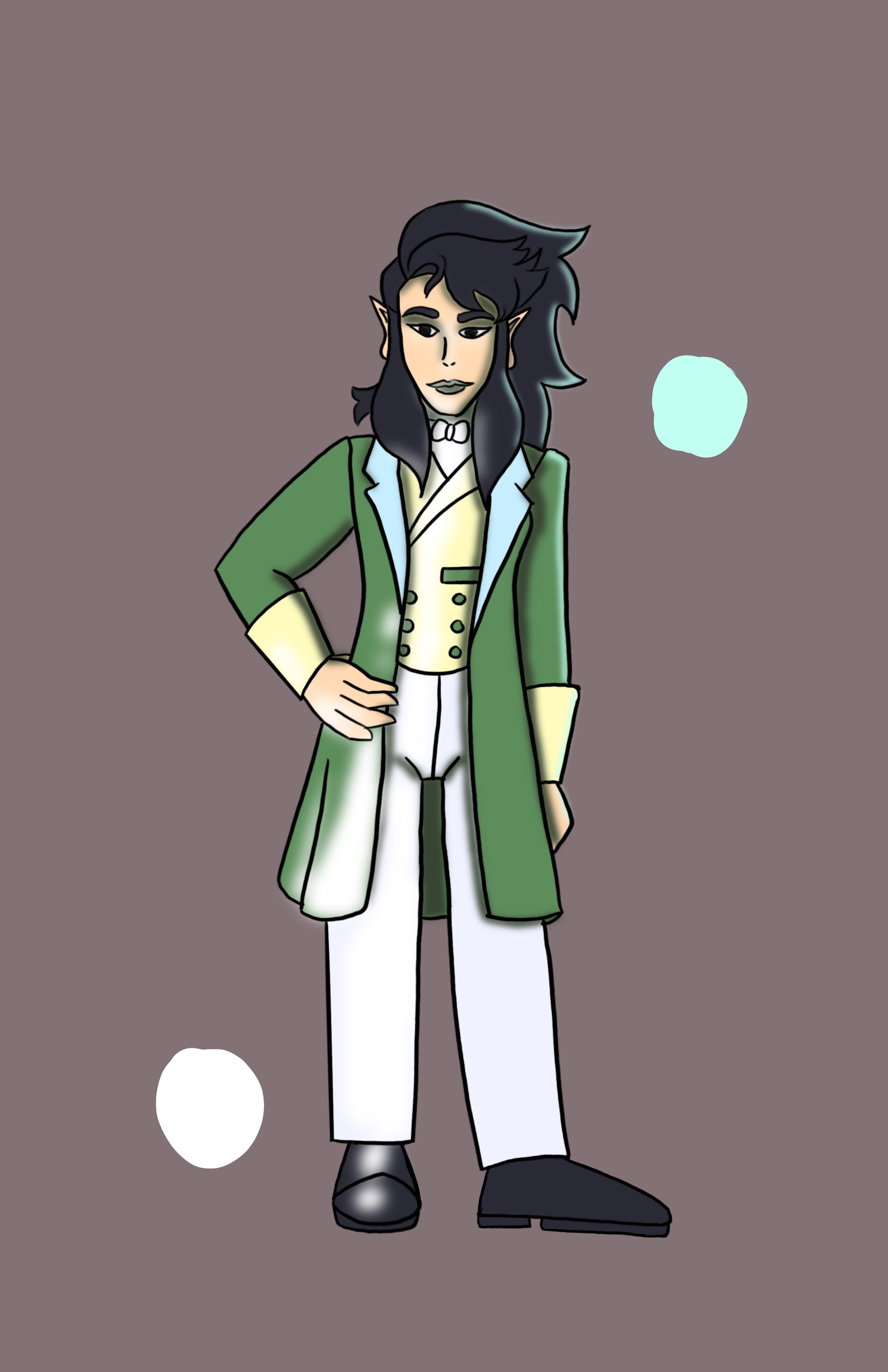 A cartoon male character with pointed elf-like ears, long black hair, wearing a green coat, white shirt, and white pants, standing on a gray background with light-colored circles.