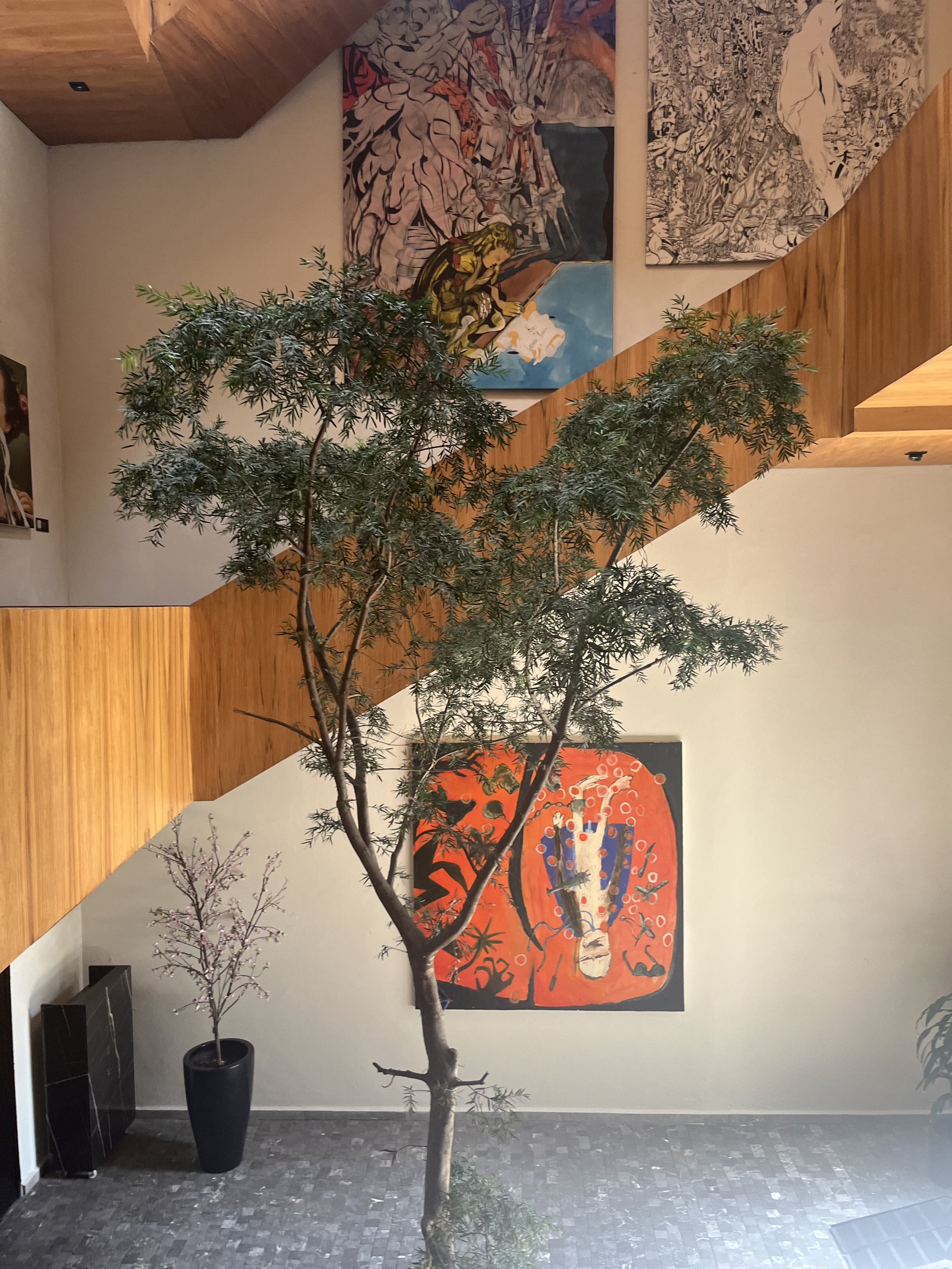 Interior view of a modern art gallery with a tall leafy tree in the center, displaying multiple colorful abstract paintings on the walls.