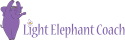 Light Elephant Coach