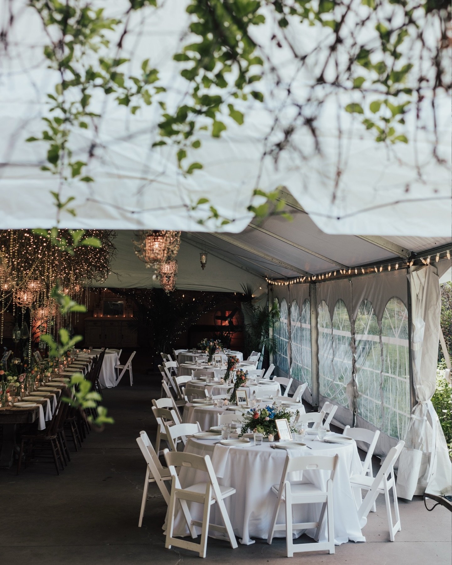 A little bit of calm, beauty, and grace in the garden. 

Also, this was around the time where Taylor Swift attended a very normal wedding with Travis so during cocktail hour I daydreamed so hard about that happening TO ME. Maybe that led to these pho
