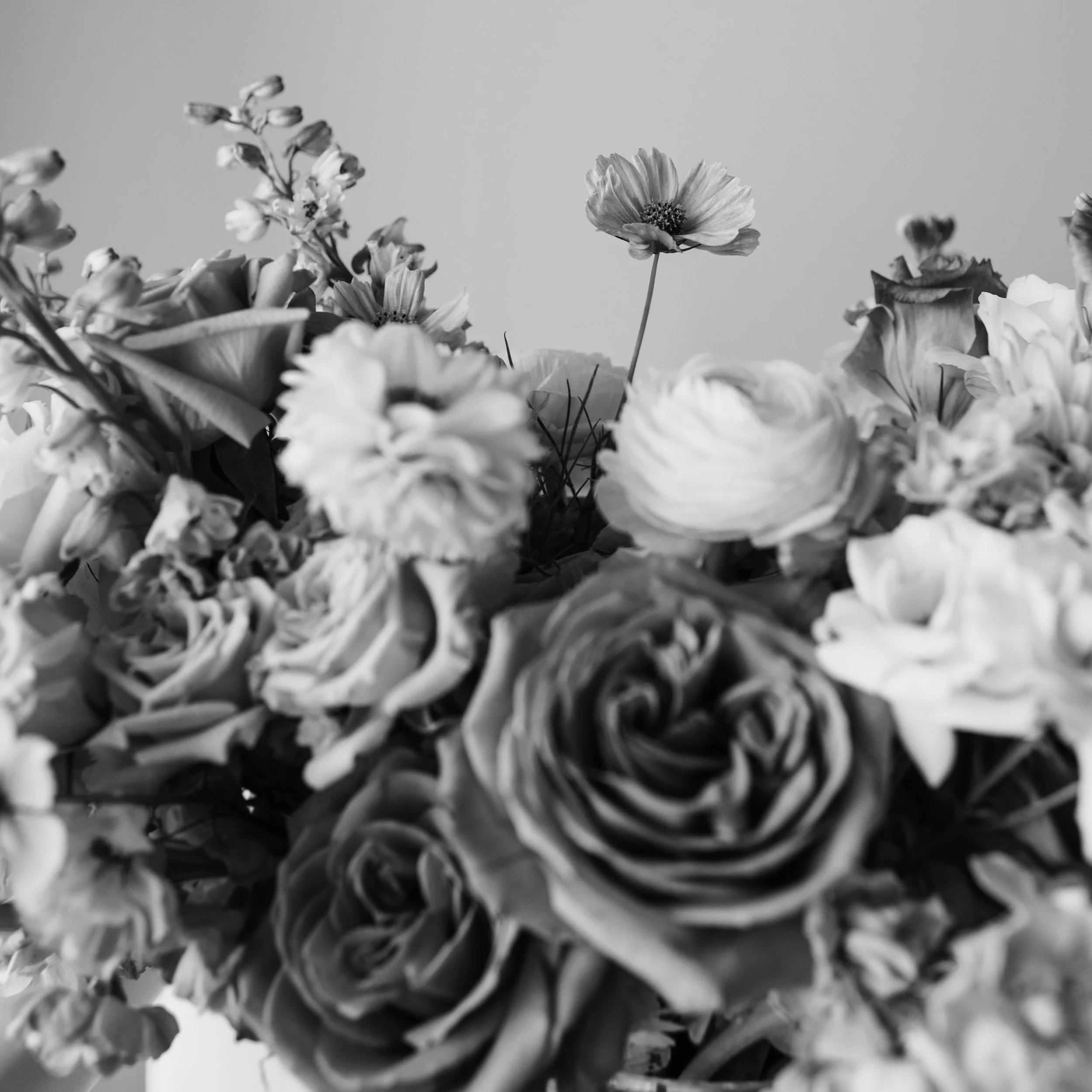 Y&rsquo;all are going to laugh, but I&rsquo;m in desperate need of a feed reset so I&rsquo;m about to post six straight black and white photos of FLORALS.

Because I love them. Because it&rsquo;s an unexpected vibe and I&rsquo;m into it. And the glor