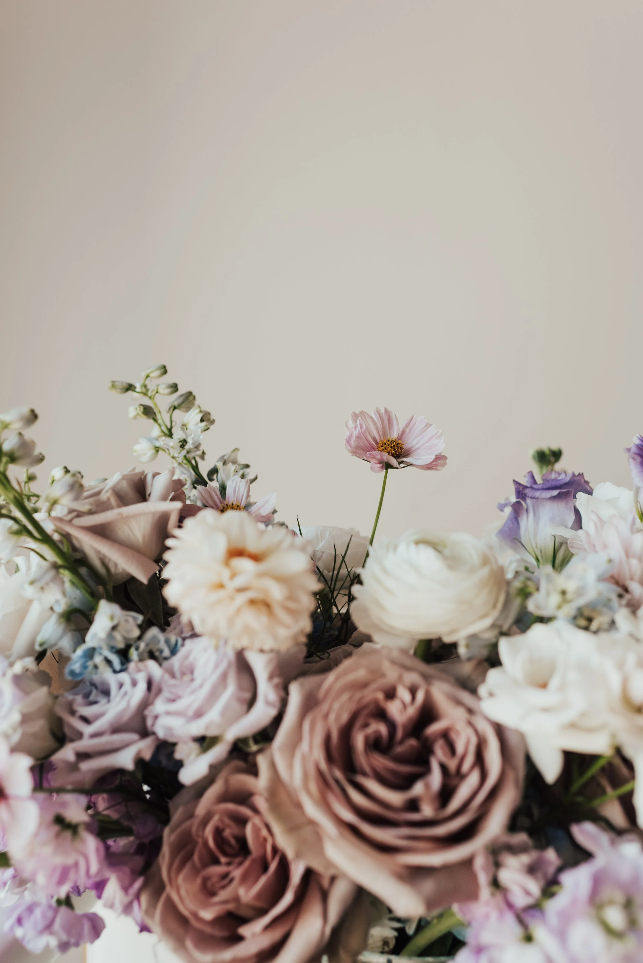 A colorful bouquet fills the bottom half of the image while one tiny pink flower pops up from the rest. This photo was taken at Equestra West in Chaska, MN.