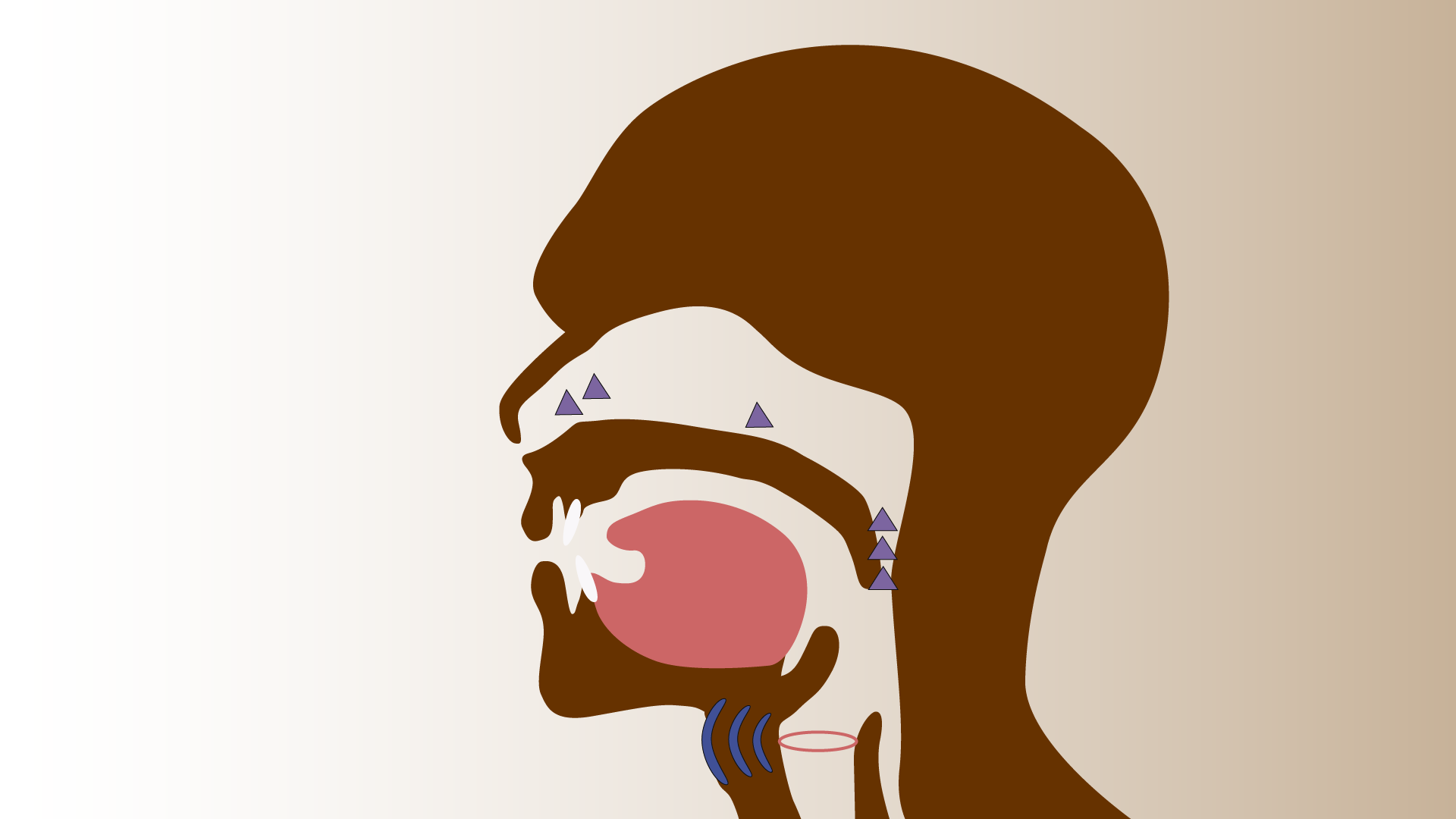 Animated cross-section of a mouth showing tongue position and airflow for speech sound production
