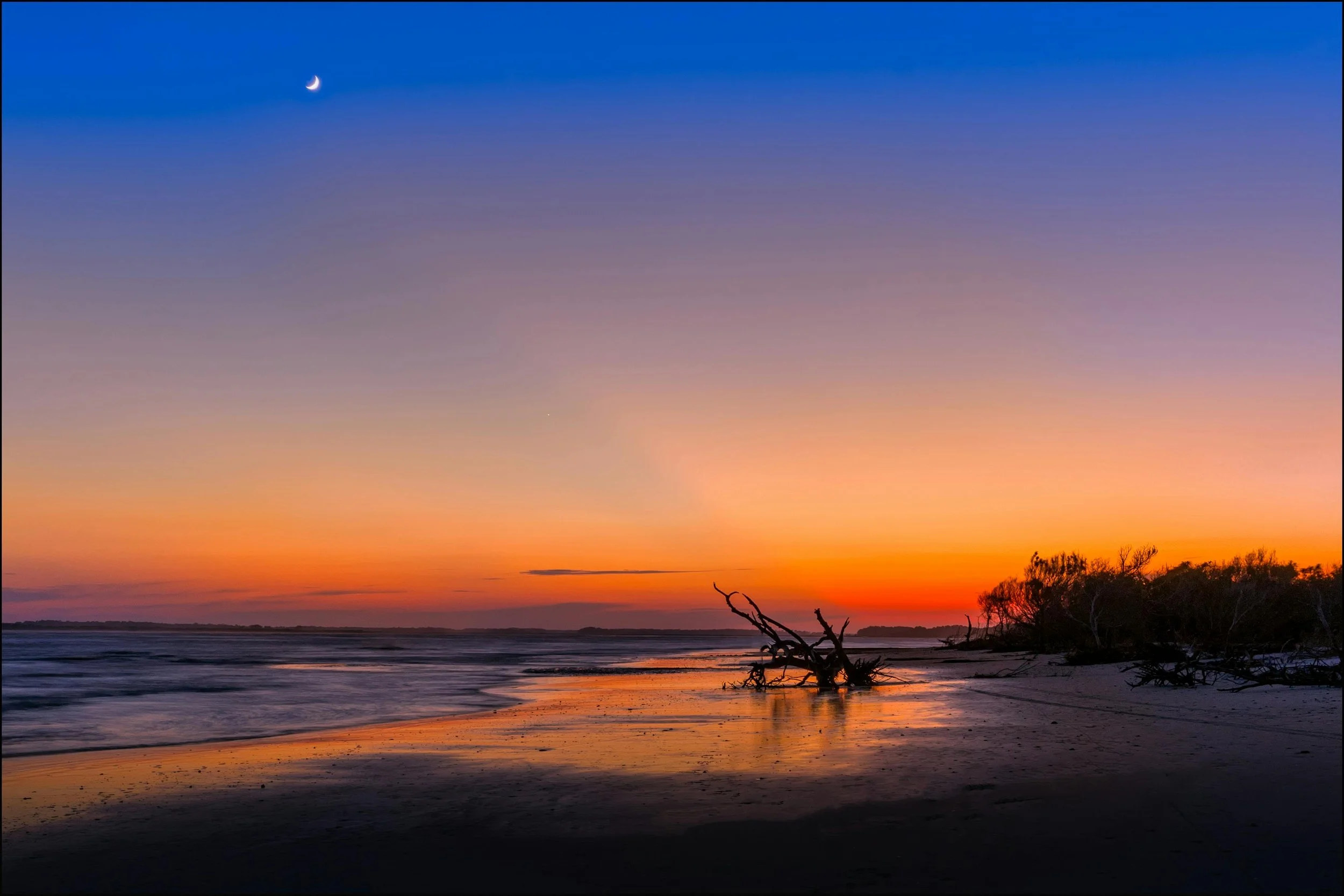 Sunset over a beach with a fallen tree and some bushes in the foreground, a crescent moon in the sky, and clouds near the horizon.