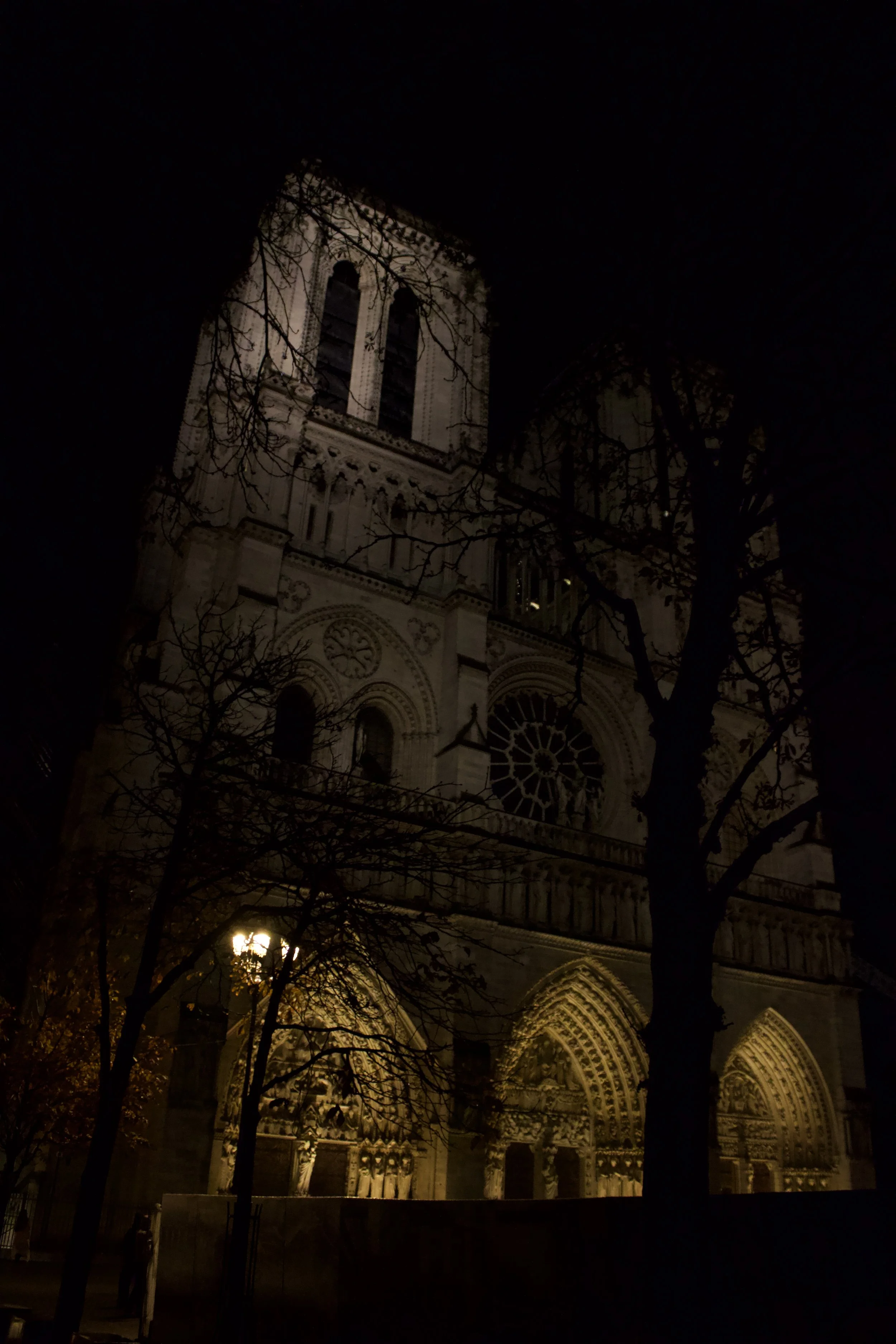 IMG_3524.jpg