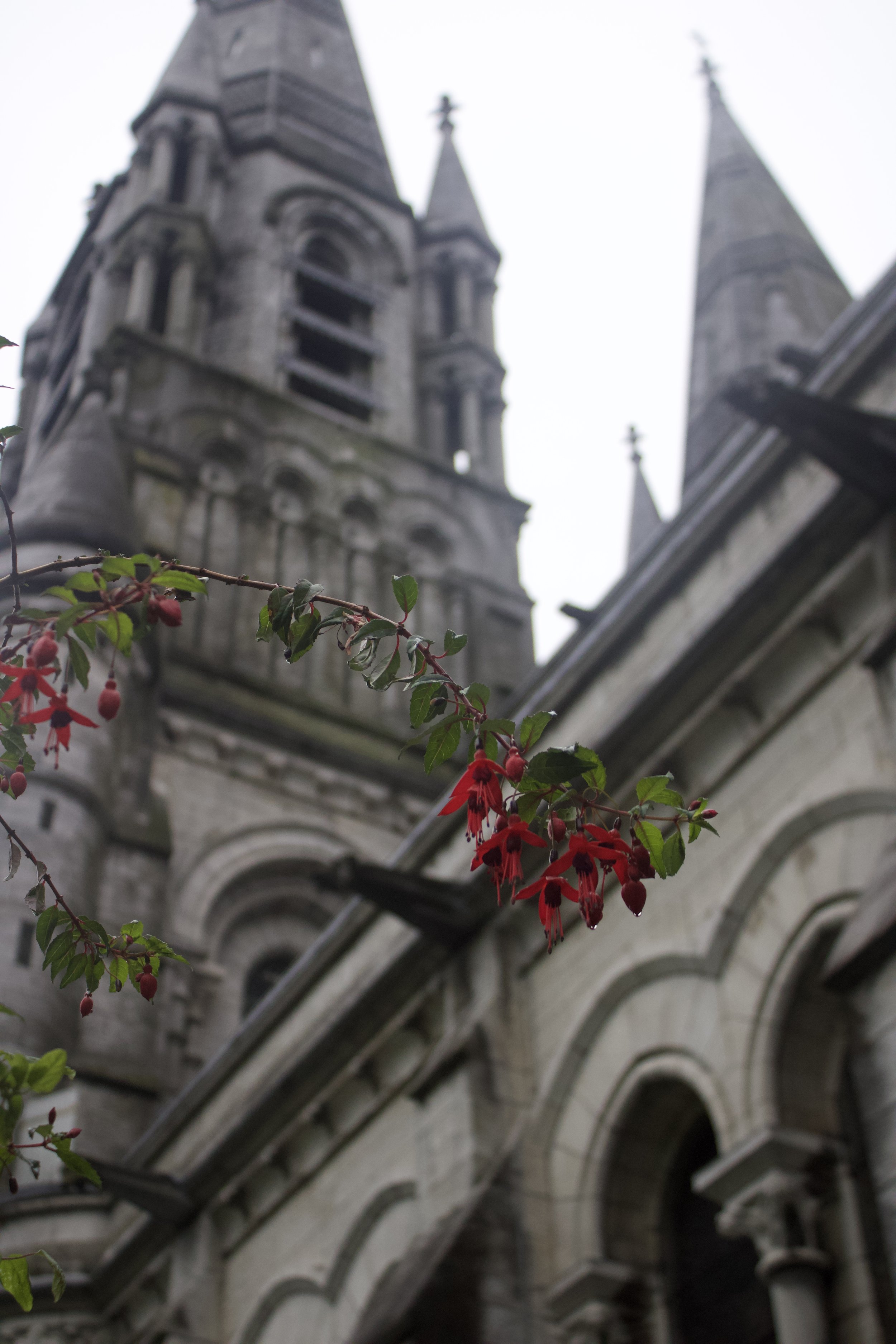 IMG_3065.jpg