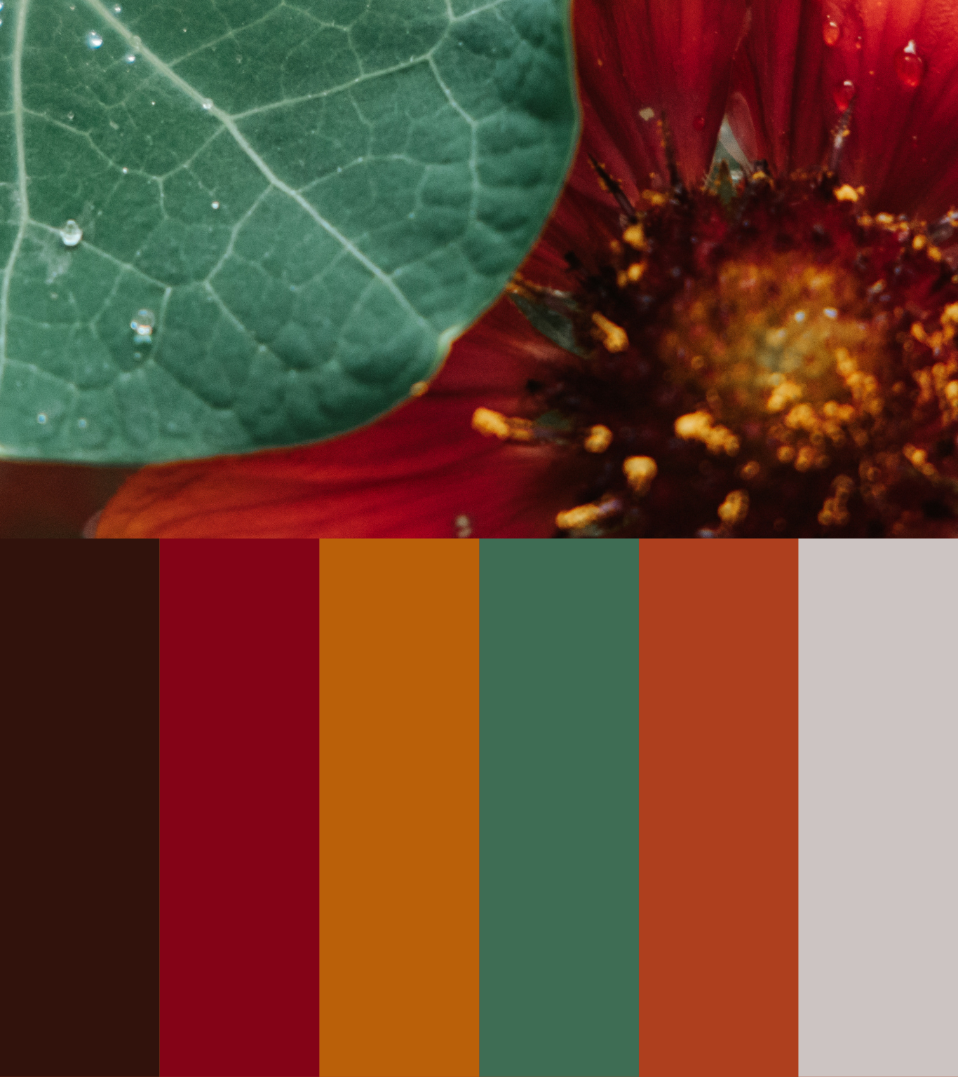 Tiffany Sinton's branding board for a client.