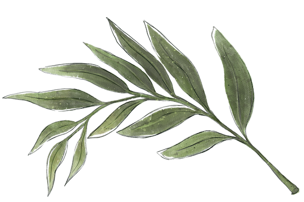 Decorative sage leaf at Crystal Cottage mountain retreat in Keystone Colorado.