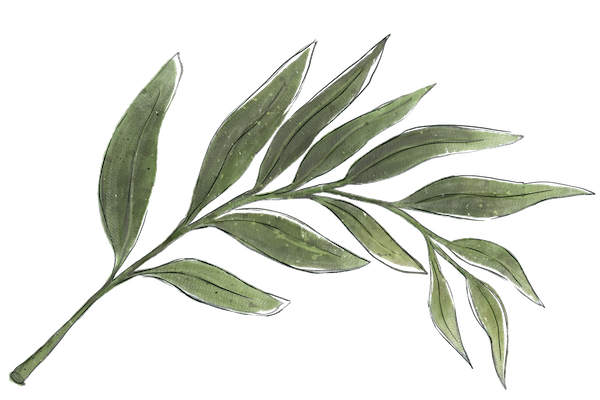 Decorative sage leaf at Crystal Cottage mountain retreat in Keystone Colorado.